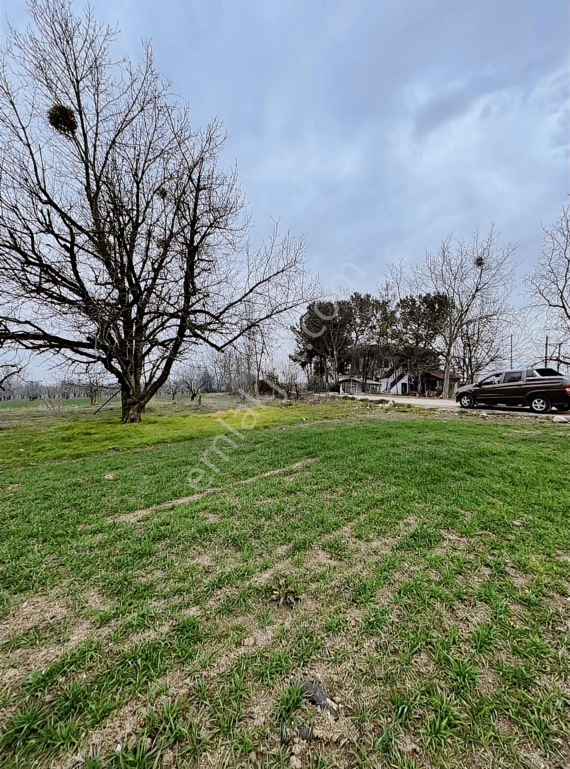 Deydinler Mahallesinde Satılık Tarla