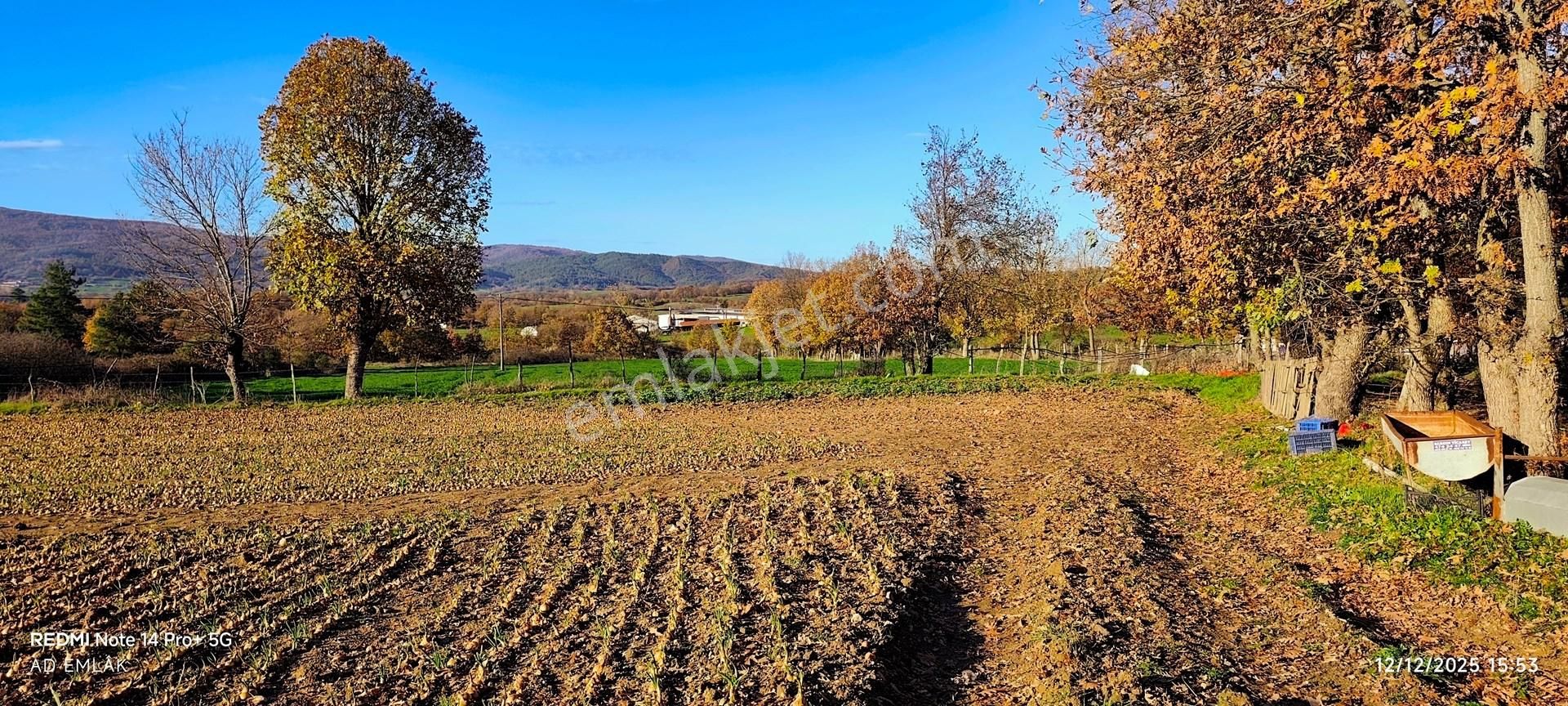 Çiftlik İçin 5160 M² Verimli Tarla Çanakkale Yenice Bekten Köyü Su Kaynağı Yanı Orman Ve Yola Cephe - Görsel 8