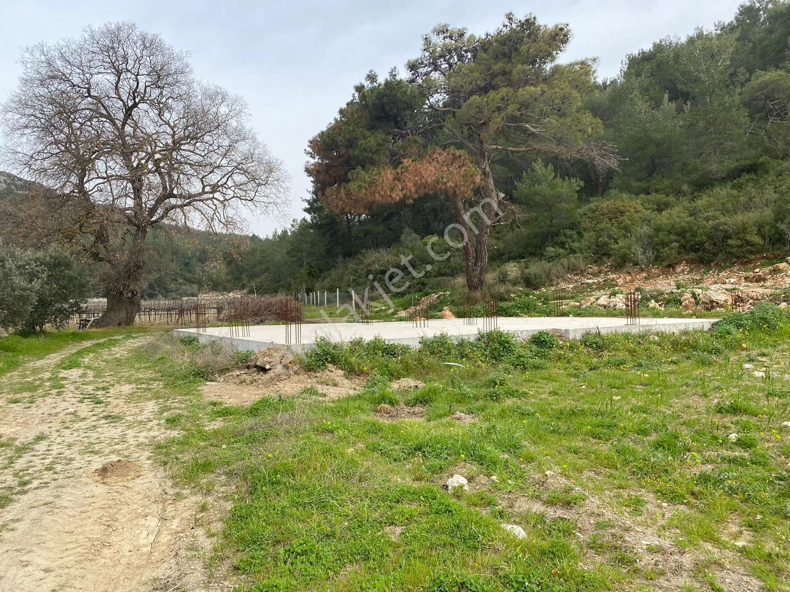 Kirazlı Dereboğaz Mevkiinde 2716 M² Tarla - Görsel 2