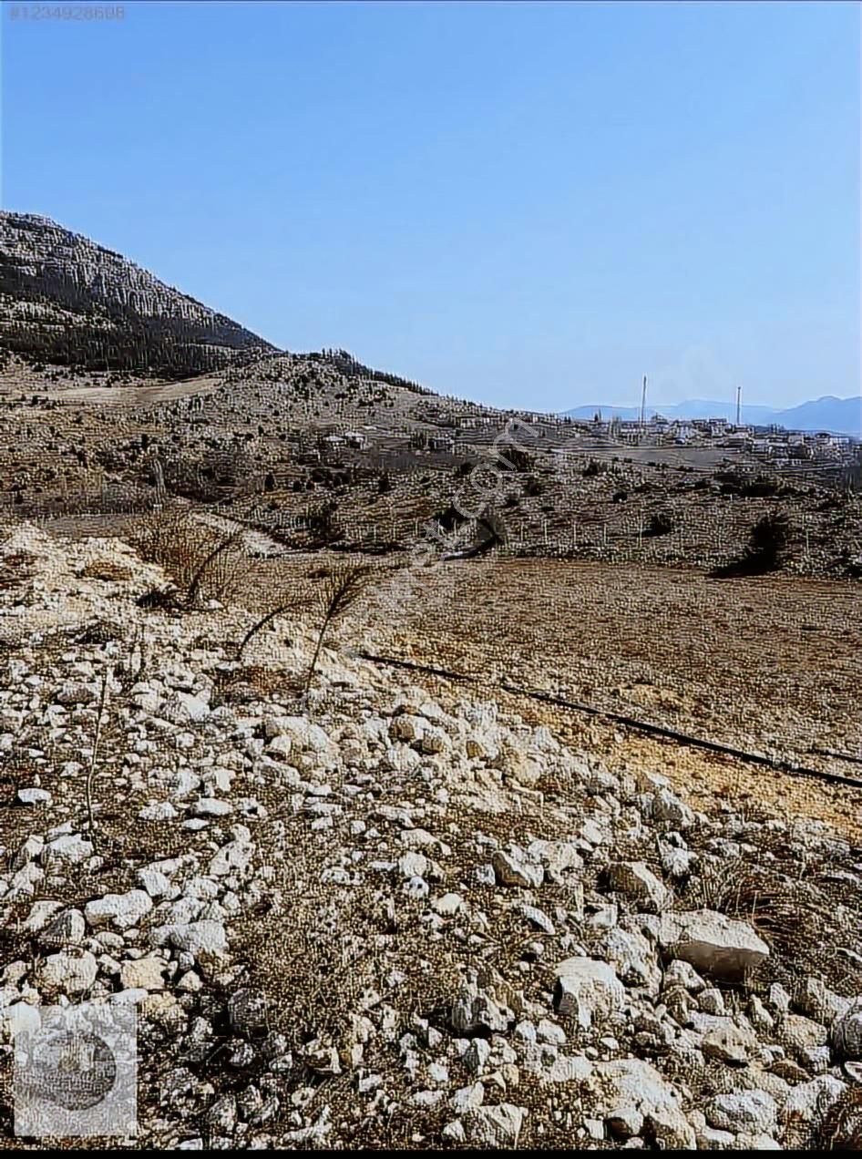 Ceo Group Tan Arslanköy De Yatırımlık 25 Dönüm Satılık Arazi - Görsel 5