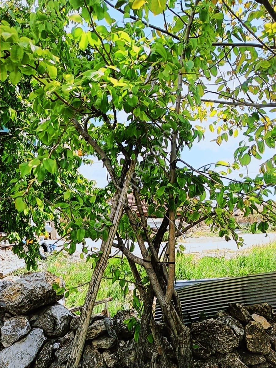 Kemer Kayı Köyünde 913m2 Arsa İçinde İki Katlı Müstakil Ve Ahır - Görsel 13