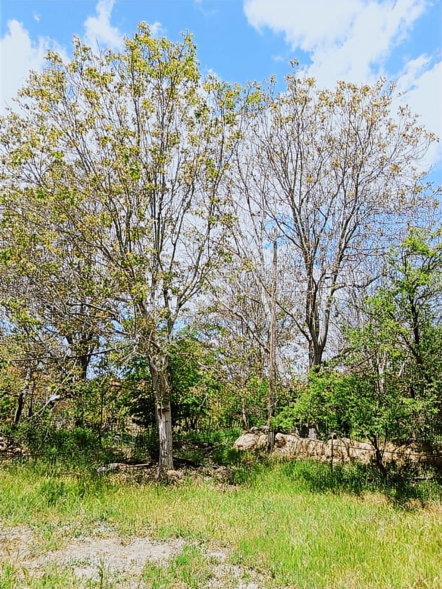 Kemer Kayı Köyünde 913m2 Arsa İçinde İki Katlı Müstakil Ve Ahır - Görsel 12