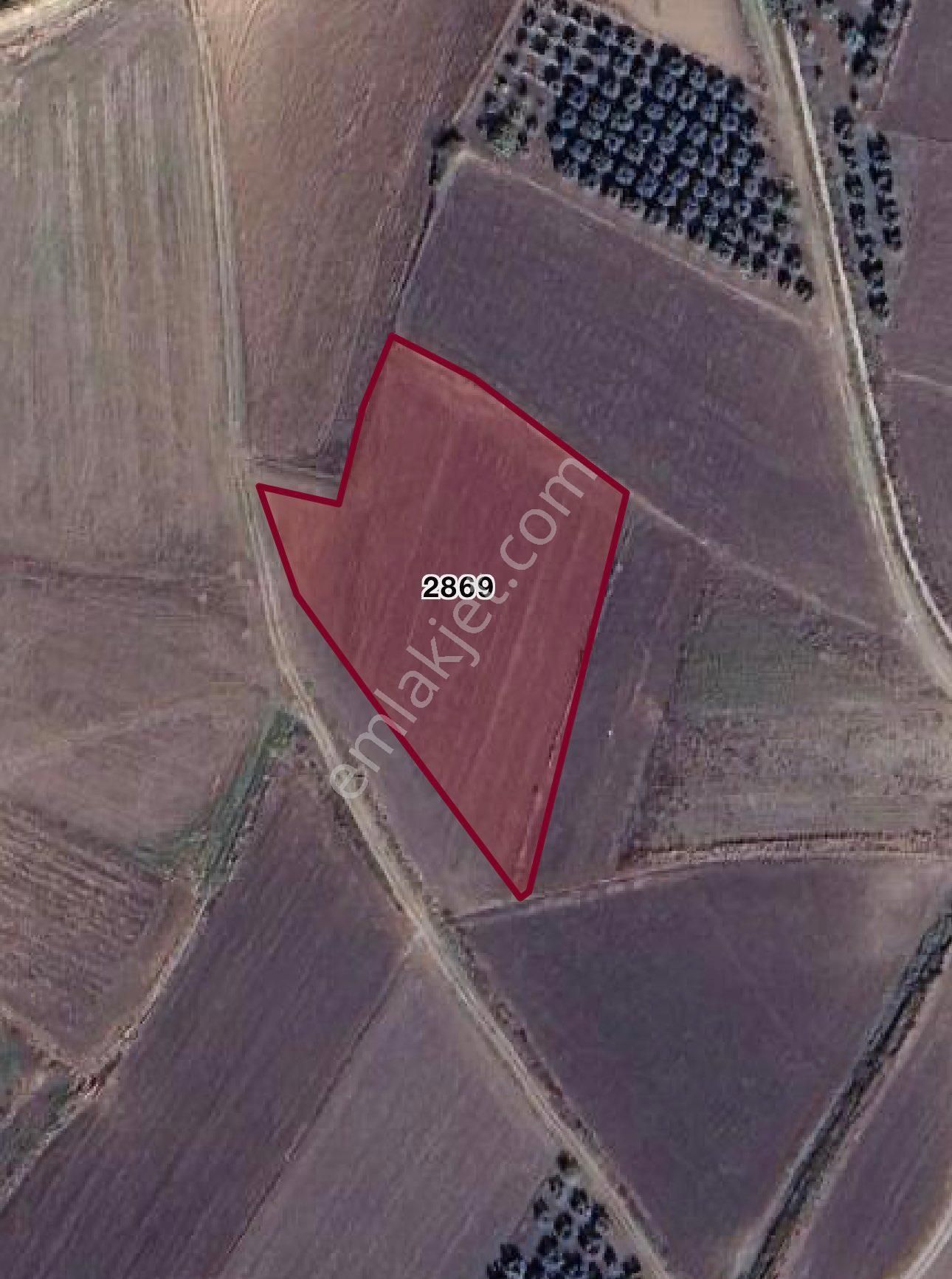 Acıl Satılık Bursa Karacabey Harmanlı’da 4500 M² Yatırımlık Tarla – Ulaşımı Kolay