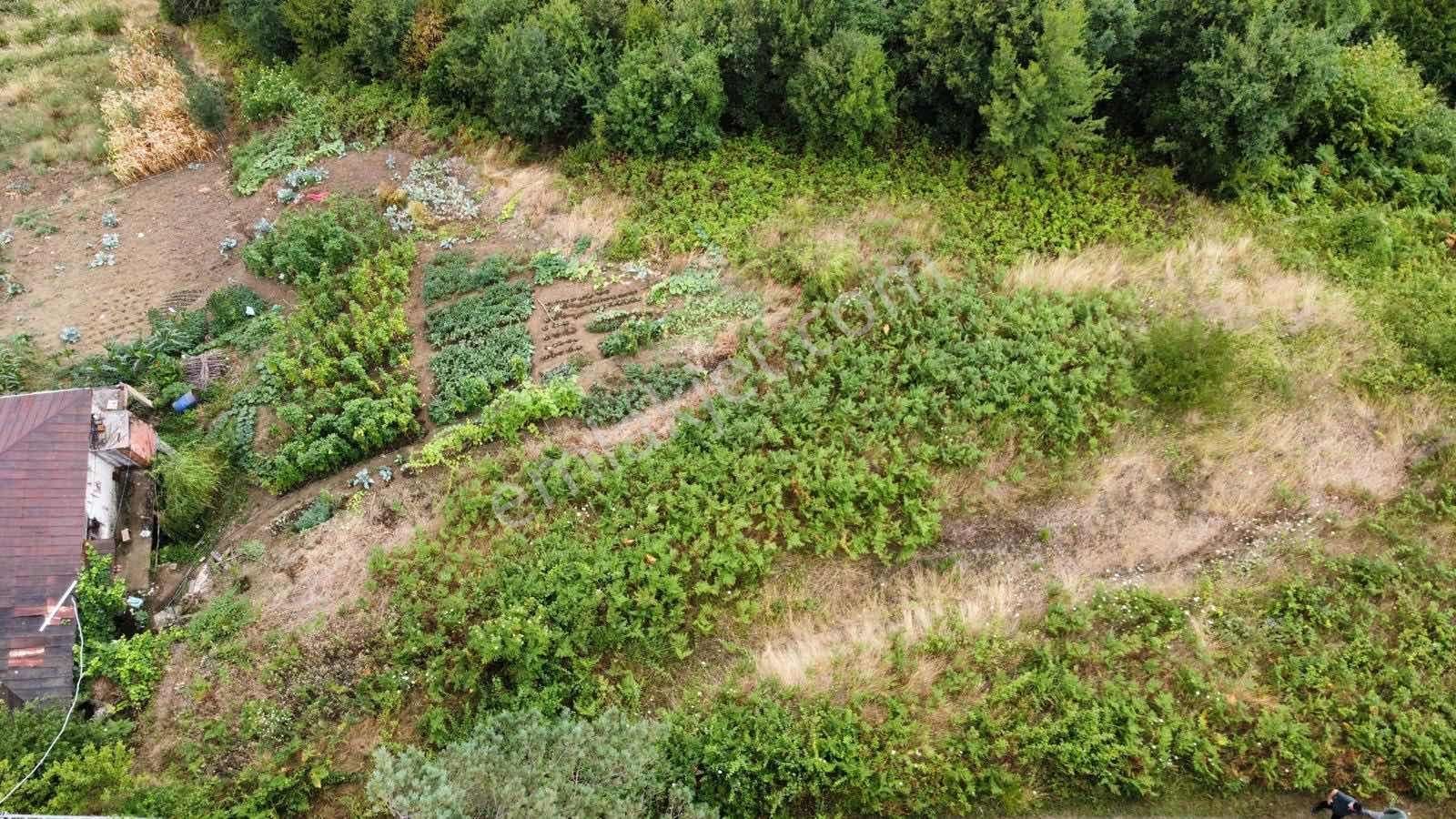 Vip Real Estate Akçaabat Akçakale Zeytinlikde Satılık 456m2 Arsa - Görsel 10