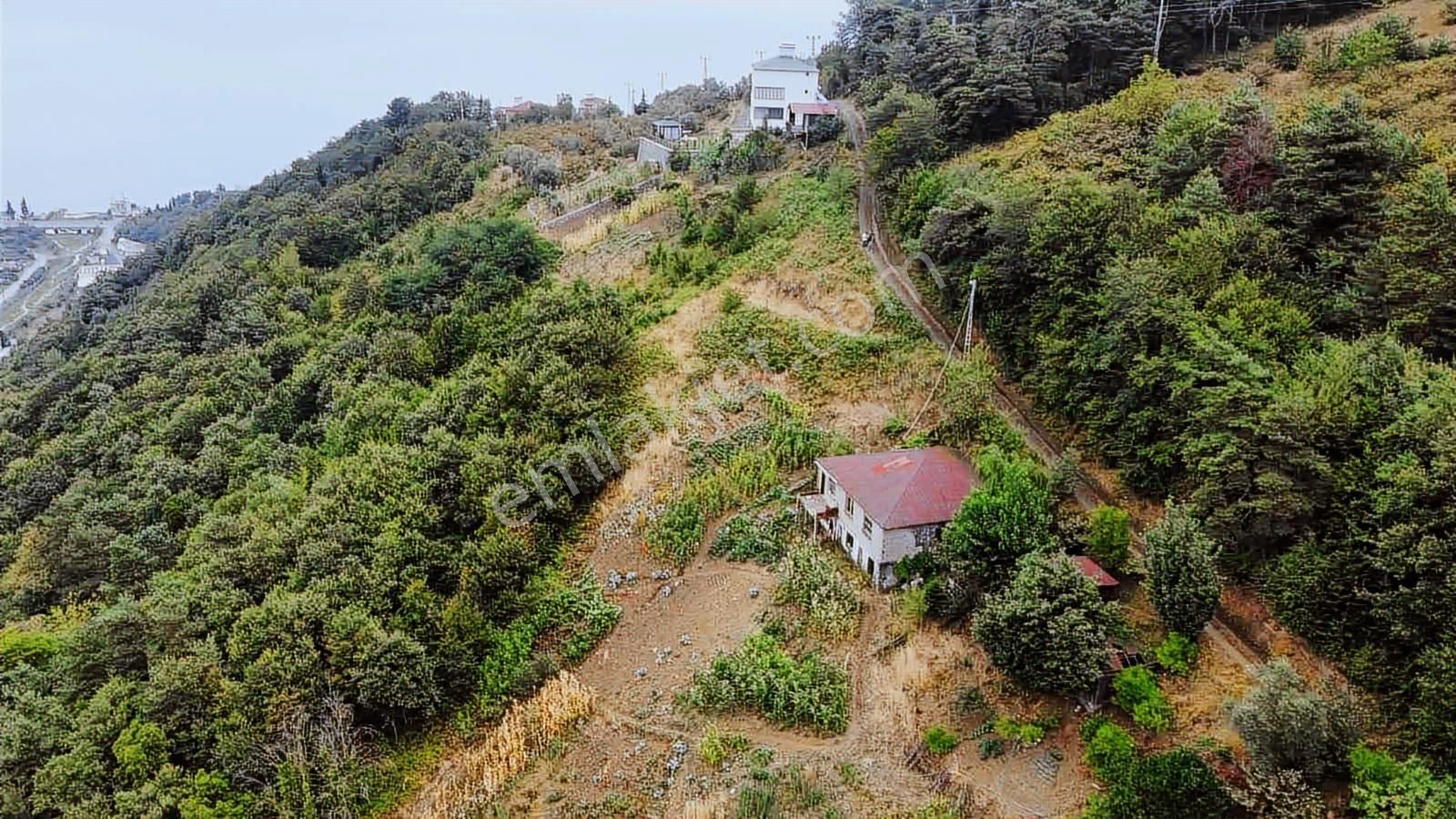 Vip Real Estate Akçaabat Akçakale Zeytinlikde Satılık 456m2 Arsa - Görsel 13