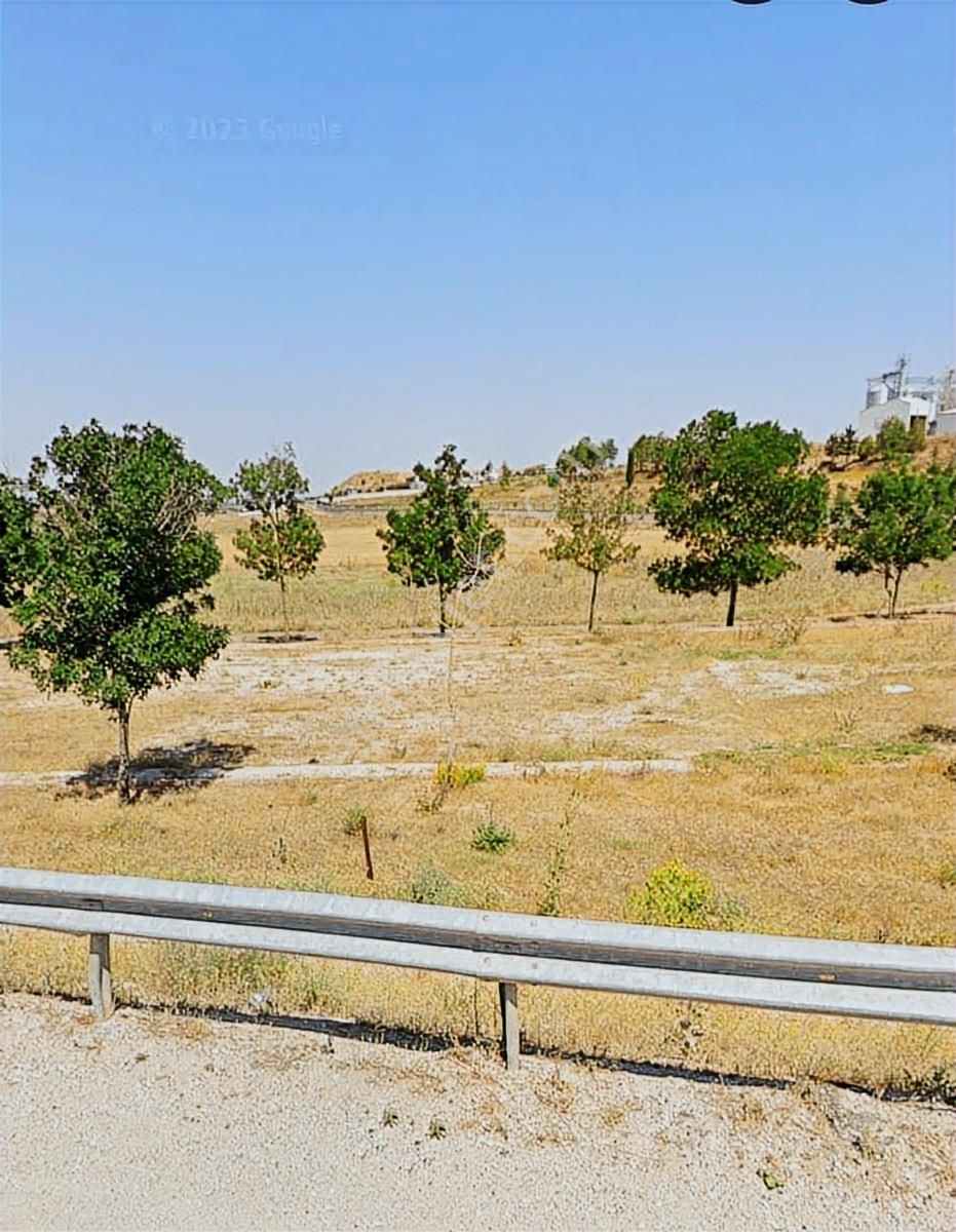 Meram Gödene Hatunsaray Yoluna Cepheli 12.060 M2 Bahçe - Görsel 6