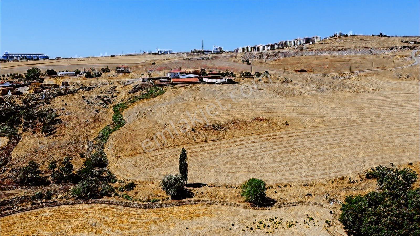 Kırıkkale Keskin Bozkurt Mahallesinde Konut İmarlı Arsalar - Görsel 7