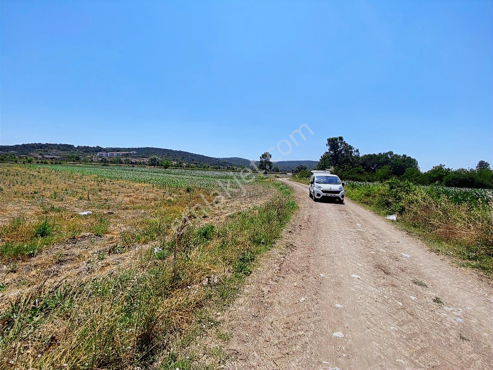 Söğütlüde Organizeye Karasu Duble Yola Yakın 4600m2 Satılık Arsa - Görsel 11