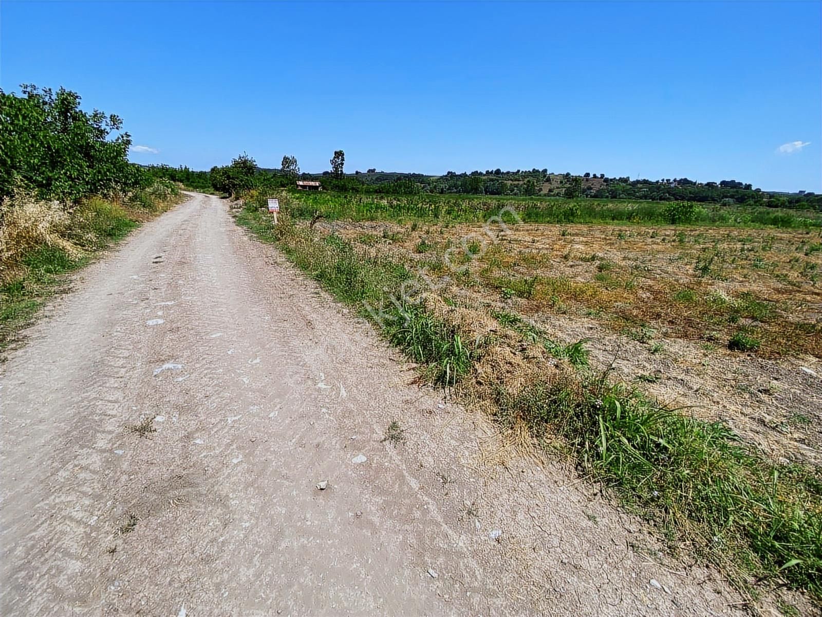 Söğütlüde Organizeye Karasu Duble Yola Yakın 4600m2 Satılık Arsa