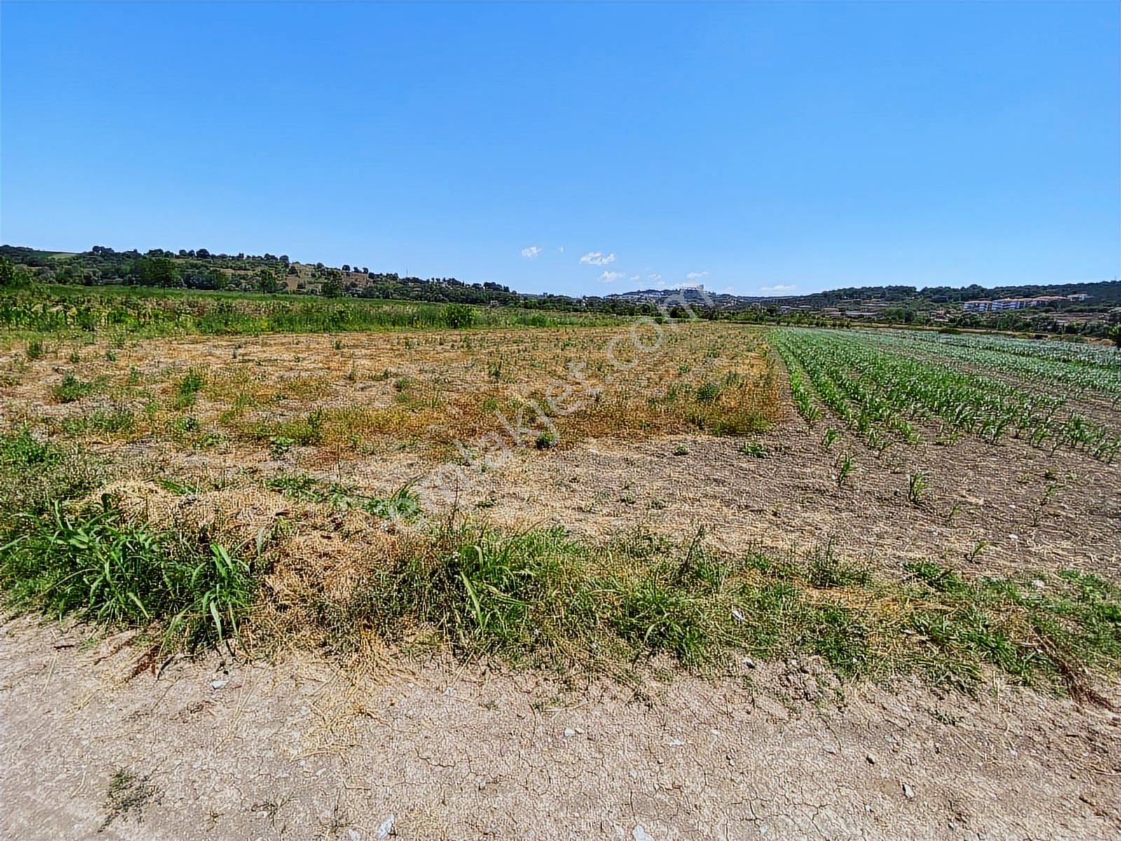 Söğütlüde Organizeye Karasu Duble Yola Yakın 4600m2 Satılık Arsa - Görsel 4