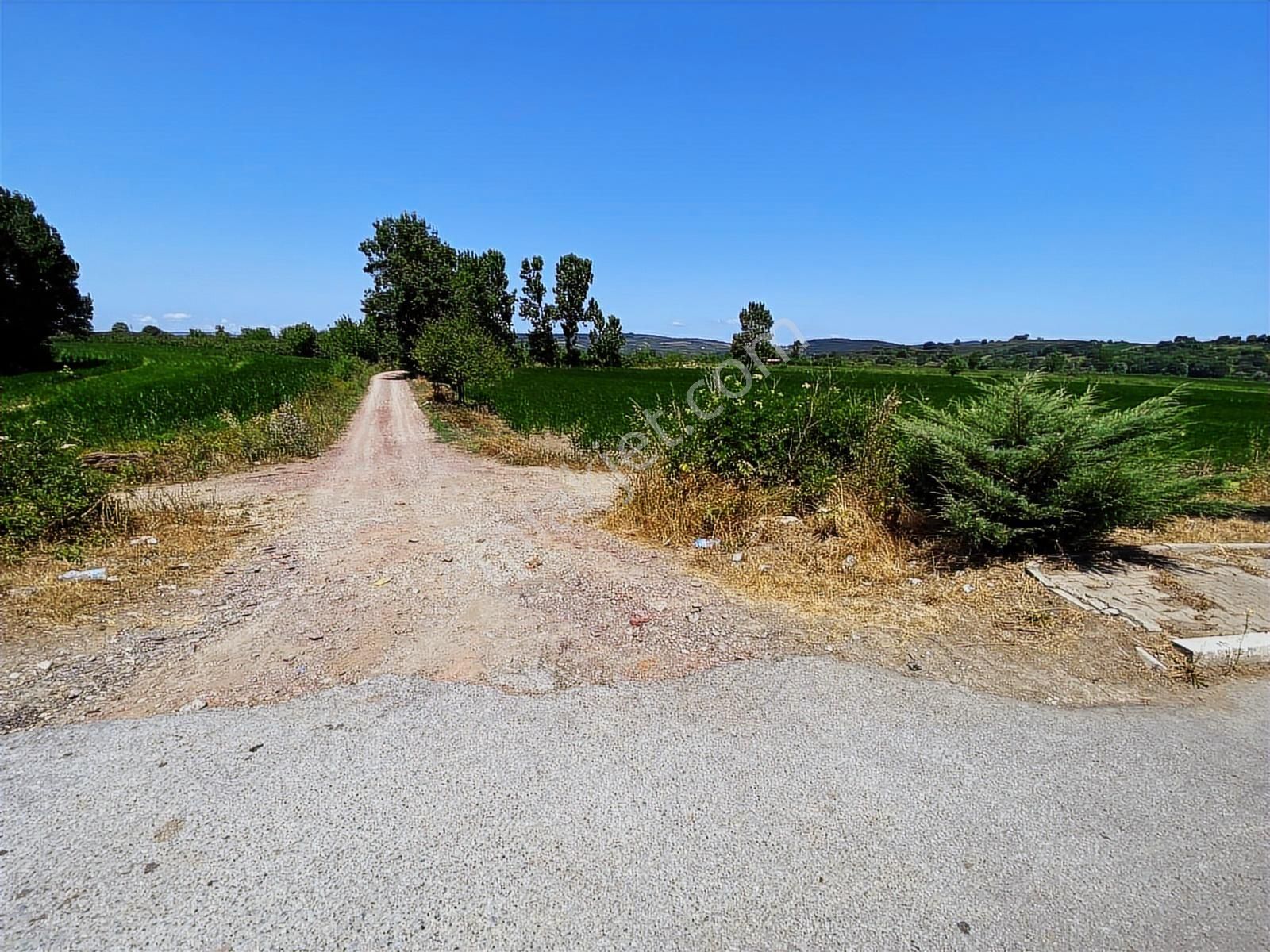 Söğütlüde Organizeye Karasu Duble Yola Yakın 4600m2 Satılık Arsa - Görsel 17