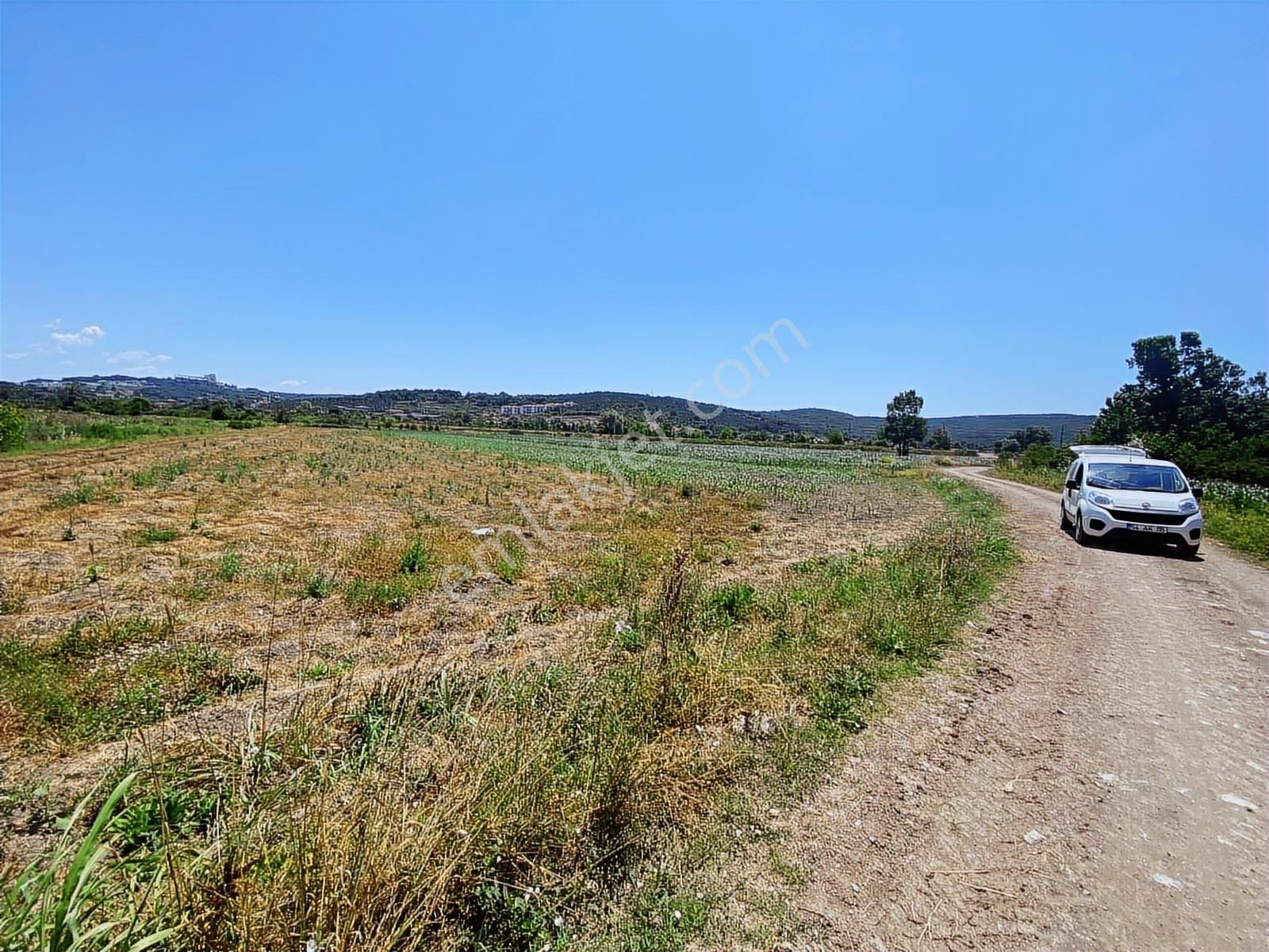 Söğütlüde Organizeye Karasu Duble Yola Yakın 4600m2 Satılık Arsa - Görsel 8