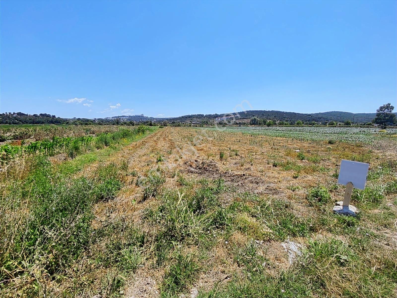 Söğütlüde Organizeye Karasu Duble Yola Yakın 4600m2 Satılık Arsa - Görsel 13