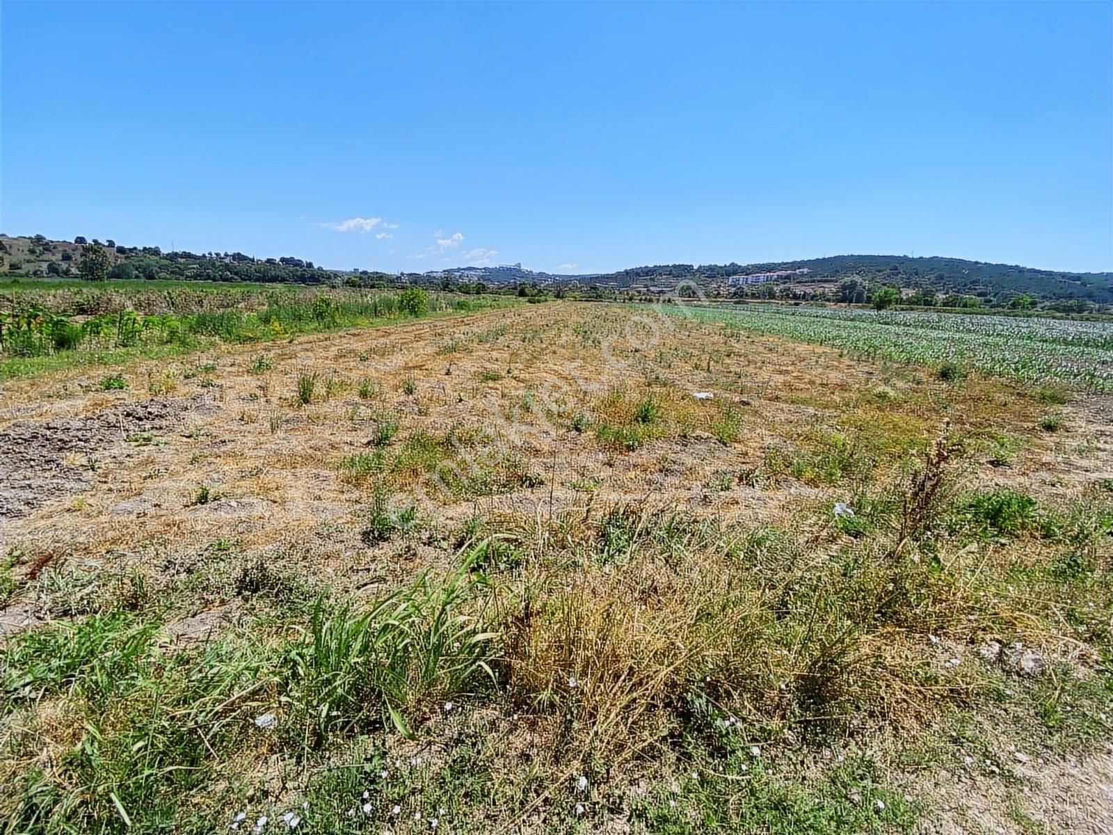 Söğütlüde Organizeye Karasu Duble Yola Yakın 4600m2 Satılık Arsa - Görsel 2