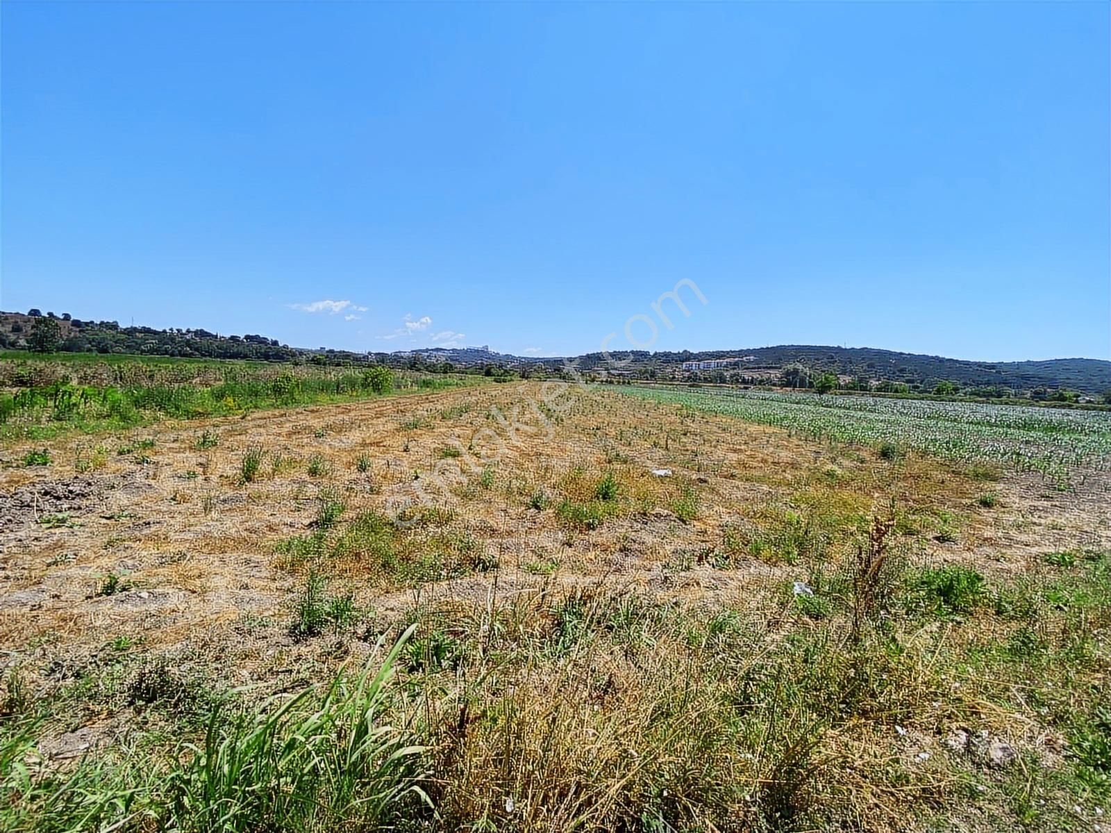 Söğütlüde Organizeye Karasu Duble Yola Yakın 4600m2 Satılık Arsa - Görsel 12