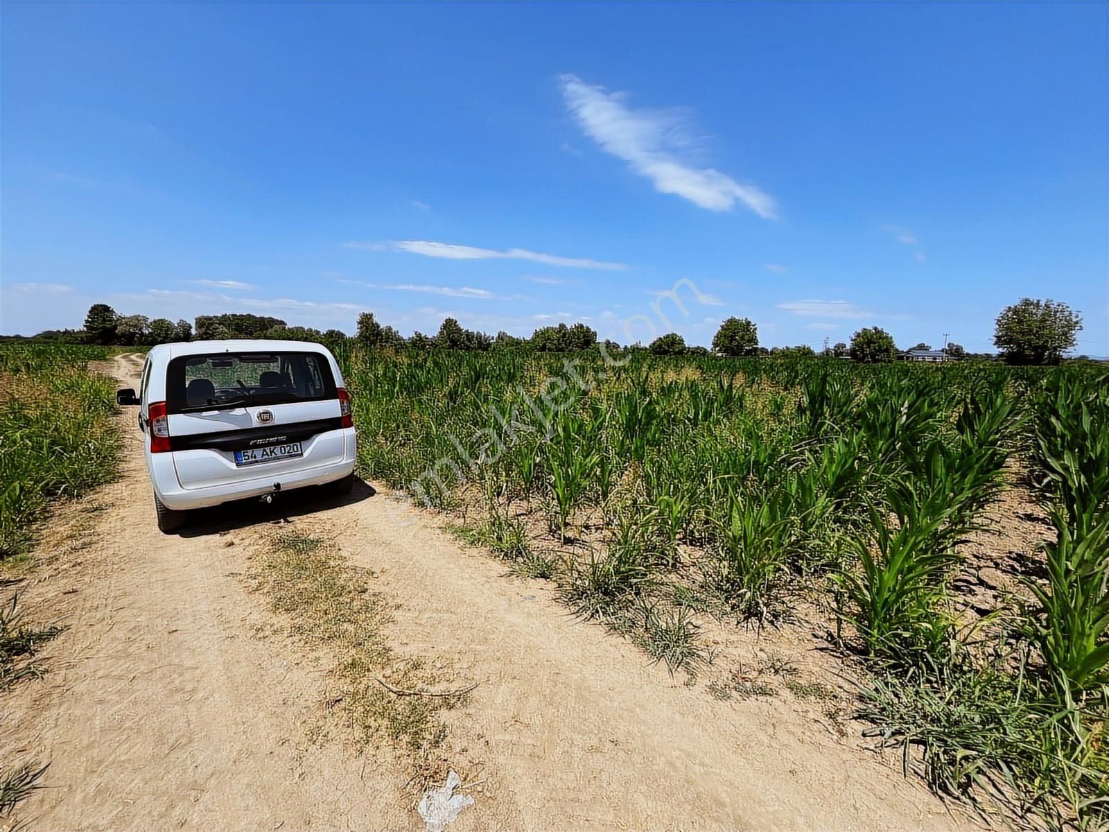 Budaklarda Yol Kenarı Hızlı Yatırım ! 2.360 M2 Satılık Tarla - Görsel 4