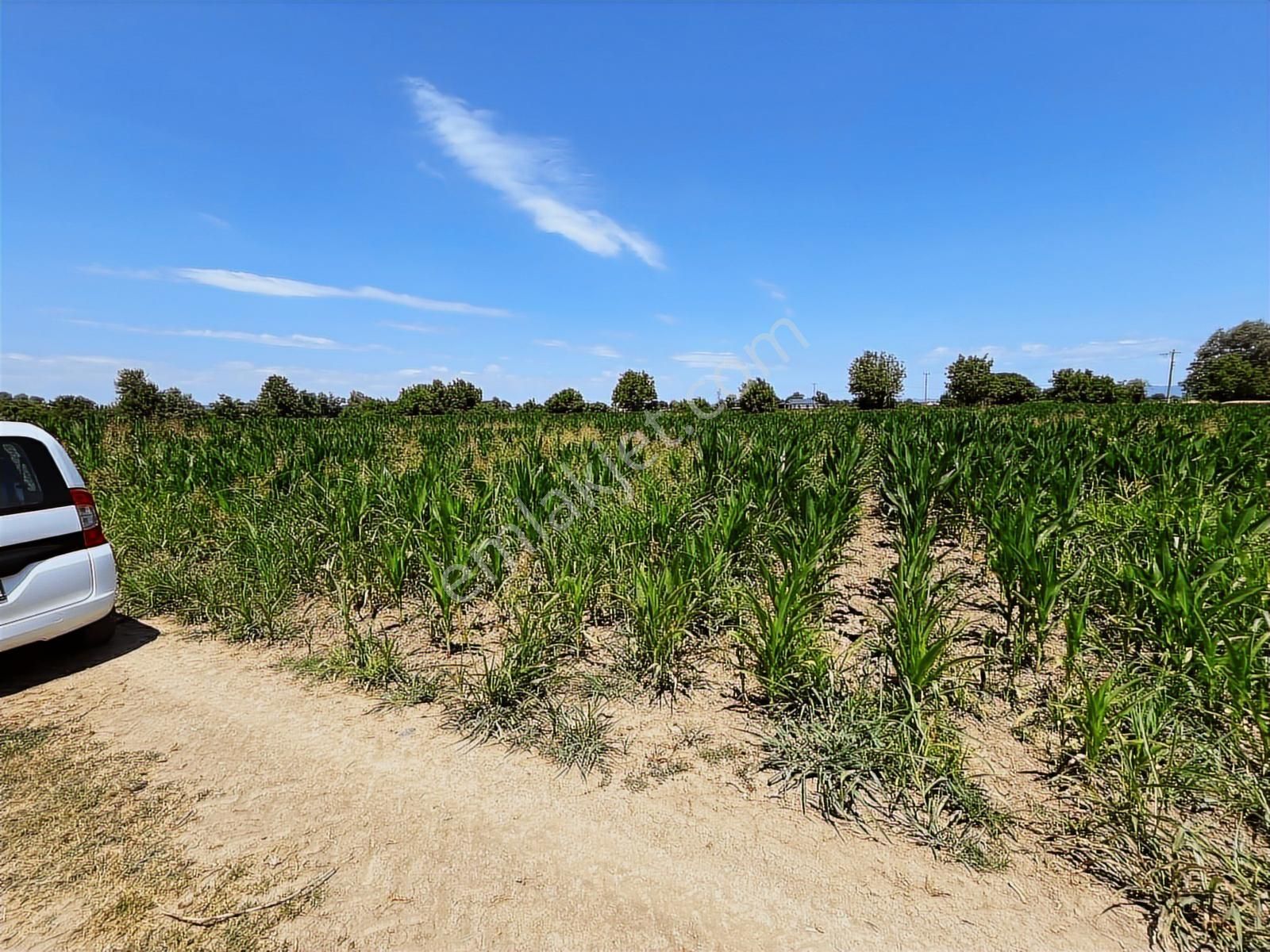 Budaklarda Yol Kenarı Hızlı Yatırım ! 2.360 M2 Satılık Tarla - Görsel 15
