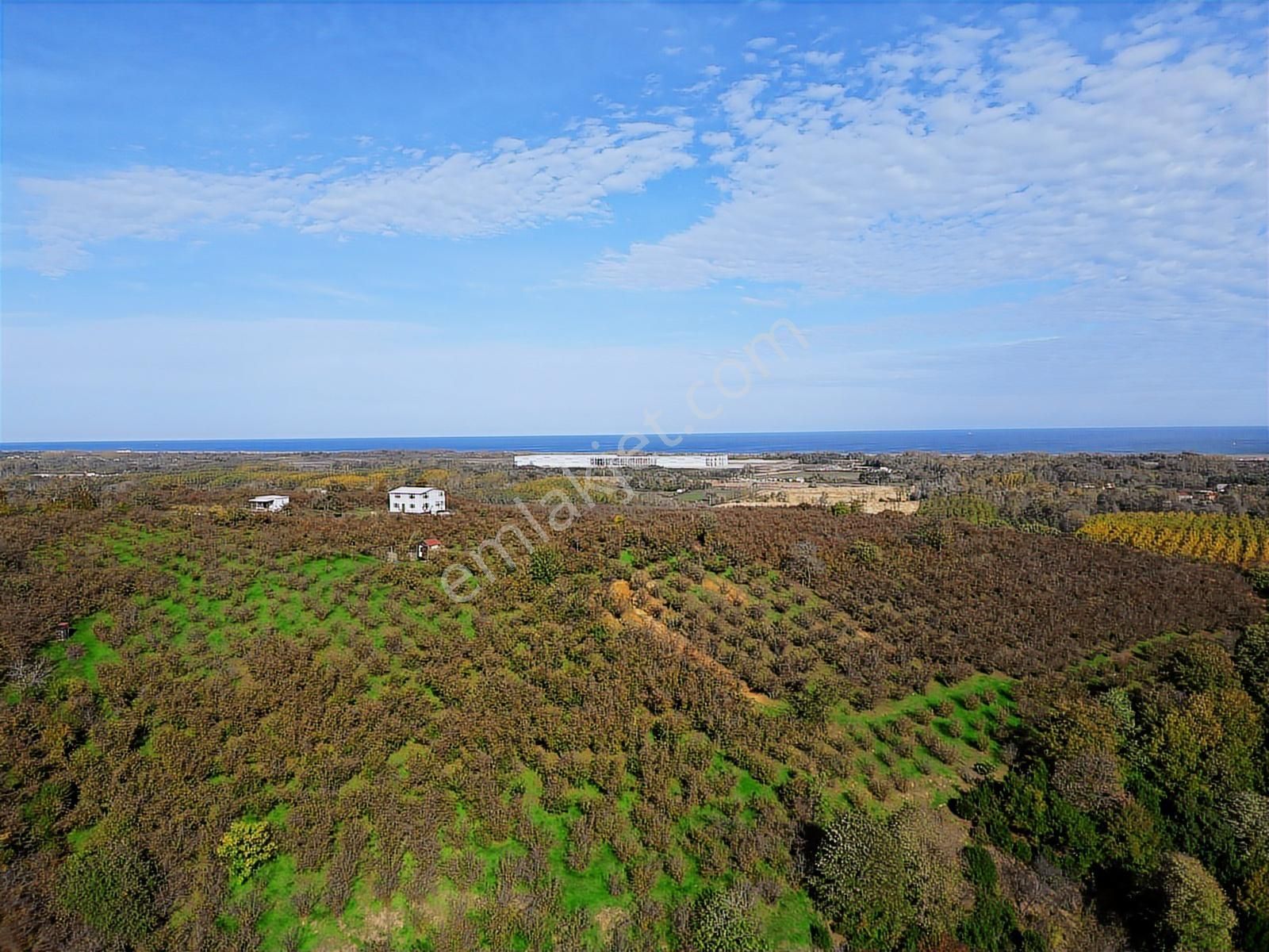 Manavpınarı'nda 1810m²! Elektrik/su 200m! Yaz Kış Ulaşımlı Arsa - Görsel 16