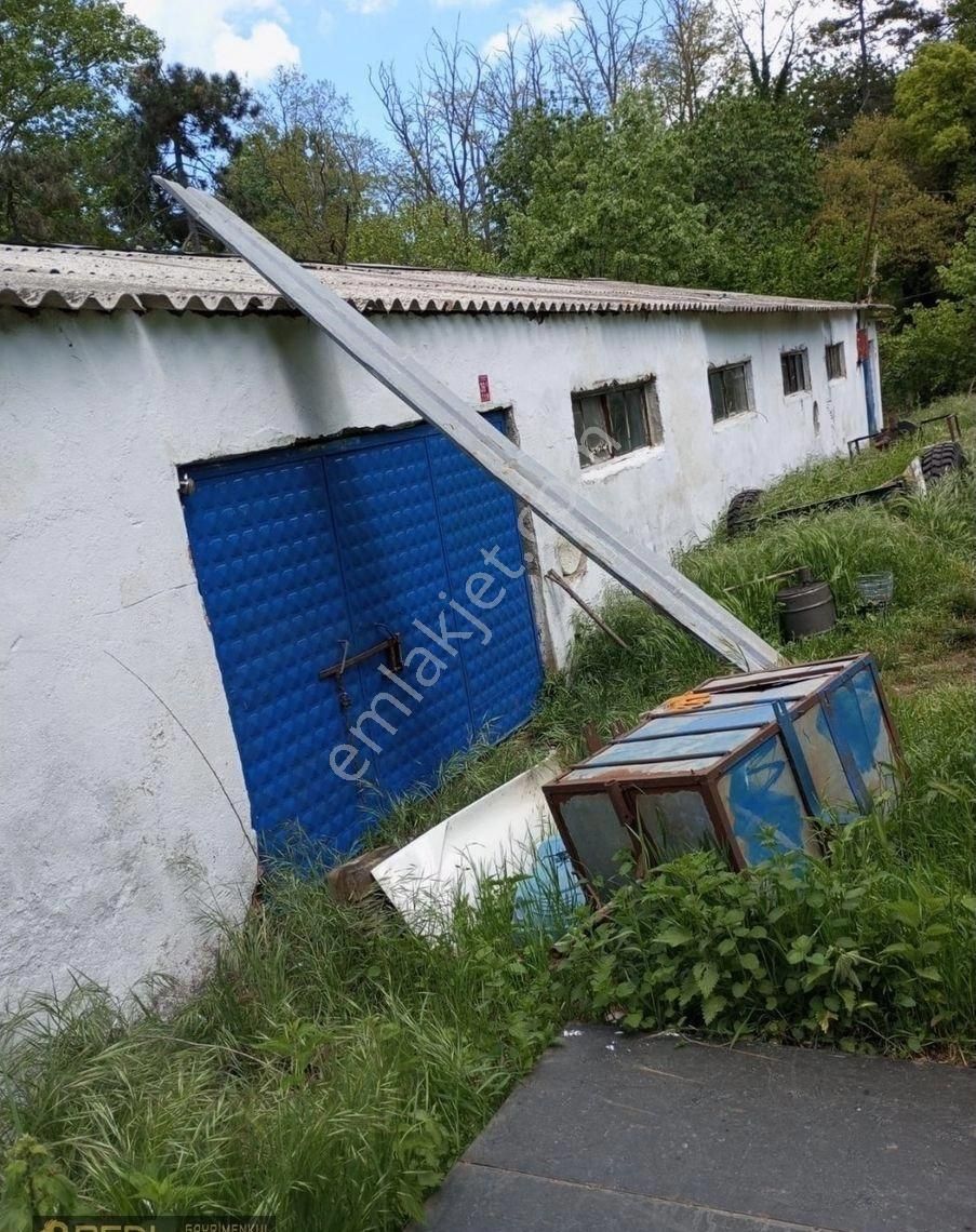 Real'den Erdek Yukarıyapıcı Köyünde Satılık Tavukhane