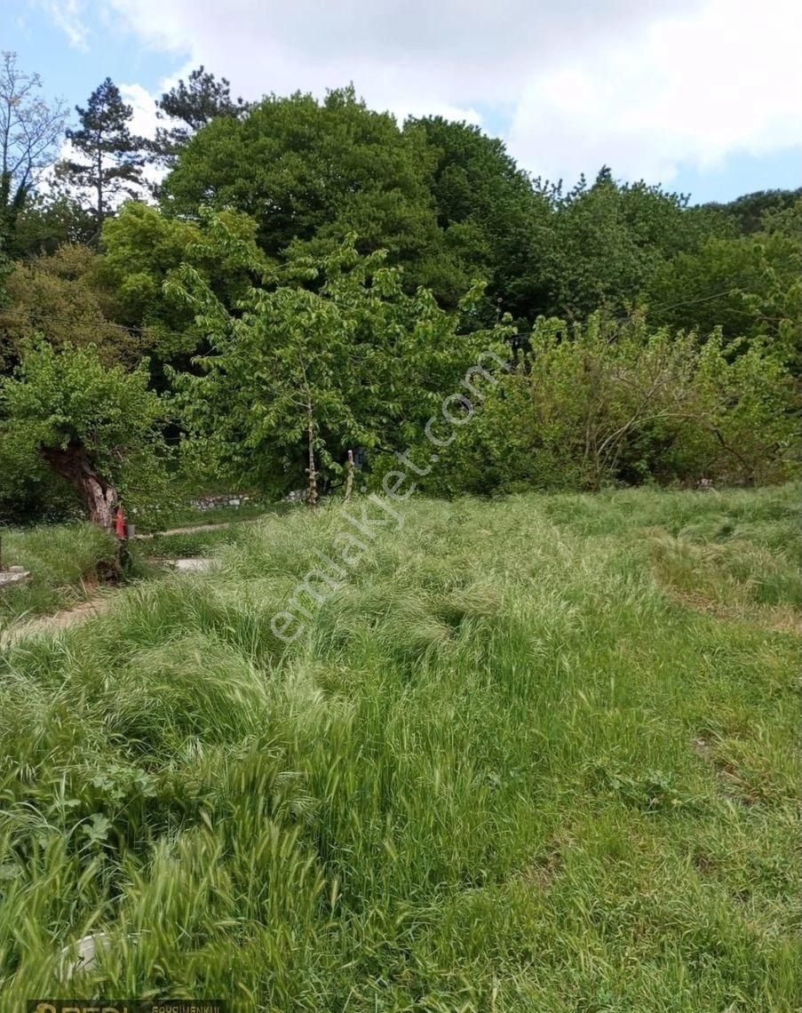 Real'den Erdek Yukarıyapıcı Köyünde Satılık Tavukhane - Görsel 5