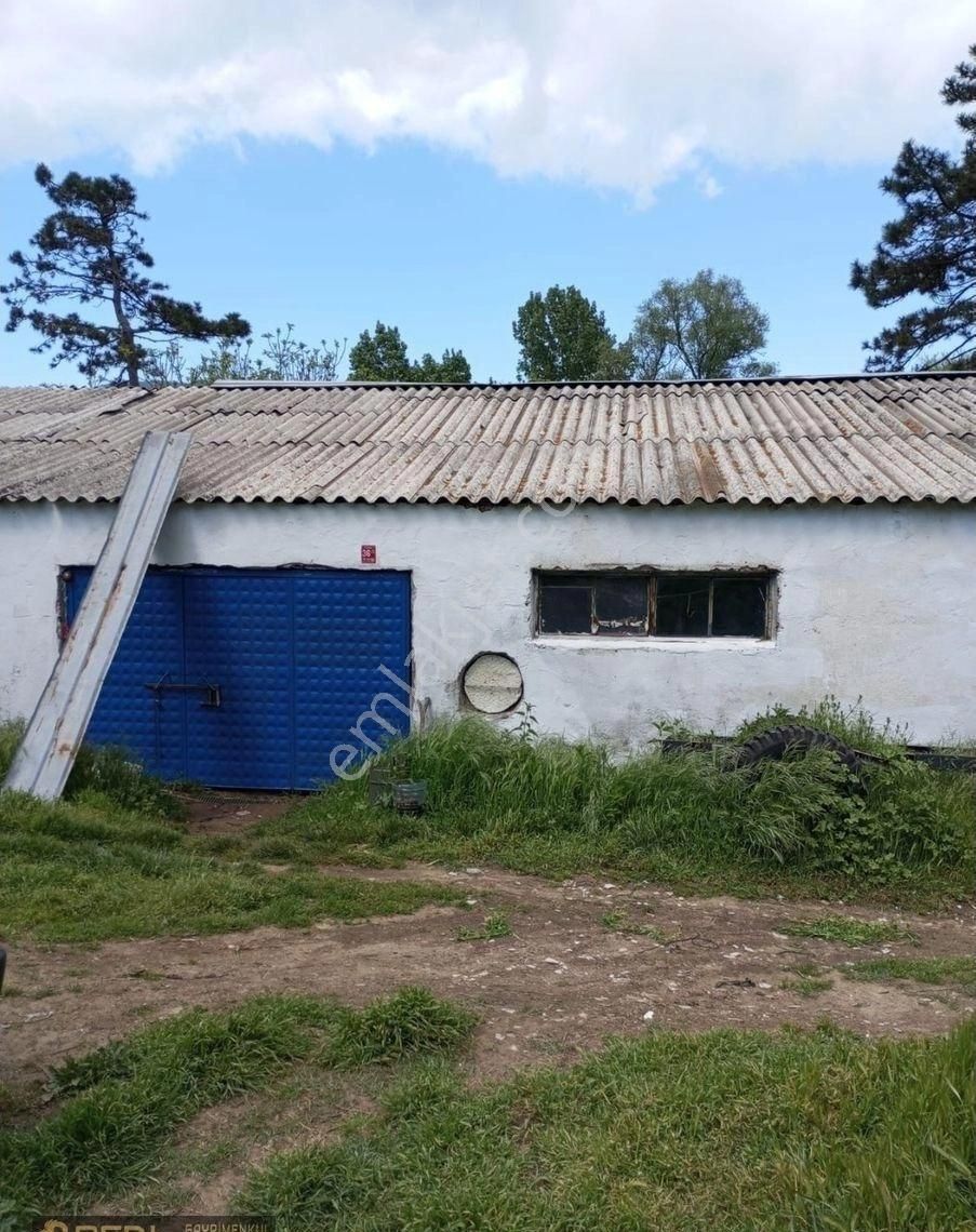 Real'den Erdek Yukarıyapıcı Köyünde Satılık Tavukhane - Görsel 7