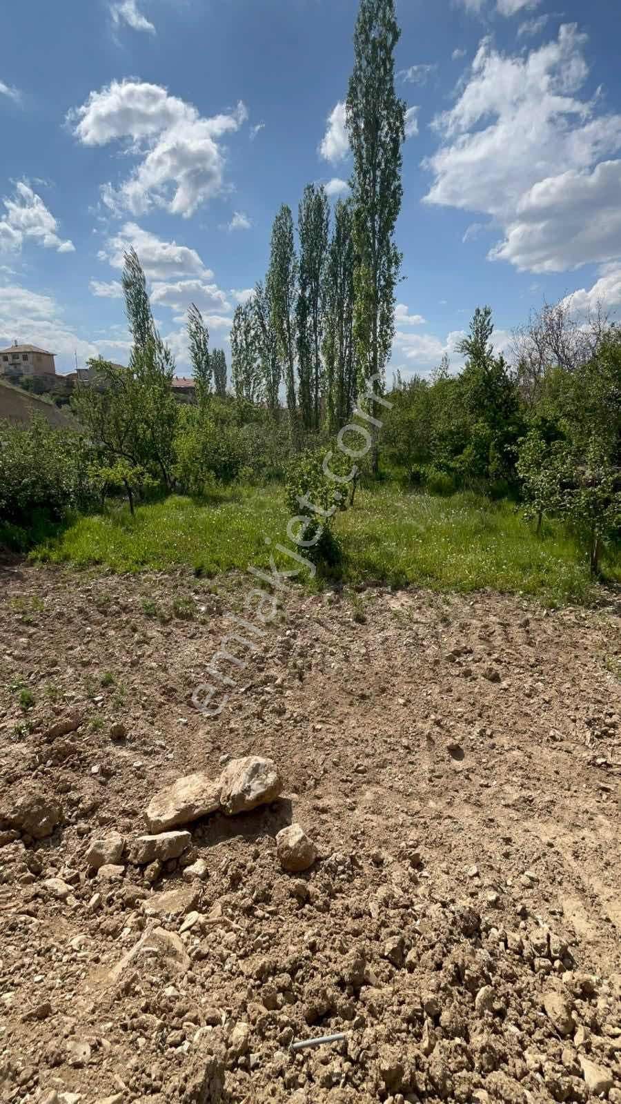 Isparta Yukarıdinek Köy İçi Satılık Arsa - Görsel 3