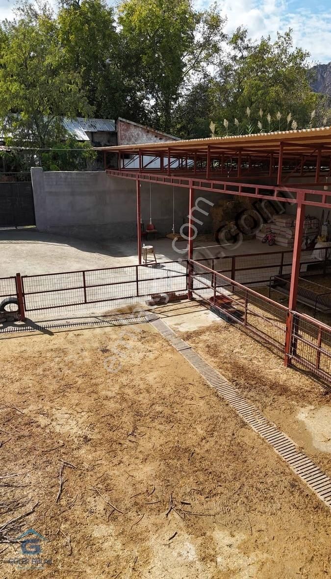 Salihli Sart Mahallesinde 900 M2 2 Tapulu Köy Evi Ve Hayvan Damı - Görsel 10