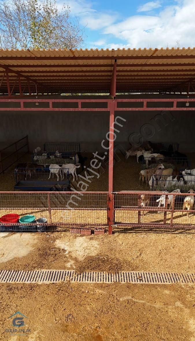 Salihli Sart Mahallesinde 900 M2 2 Tapulu Köy Evi Ve Hayvan Damı - Görsel 21