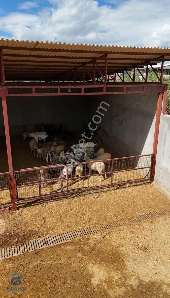 Salihli Sart Mahallesinde 900 M2 2 Tapulu Köy Evi Ve Hayvan Damı - Görsel 12
