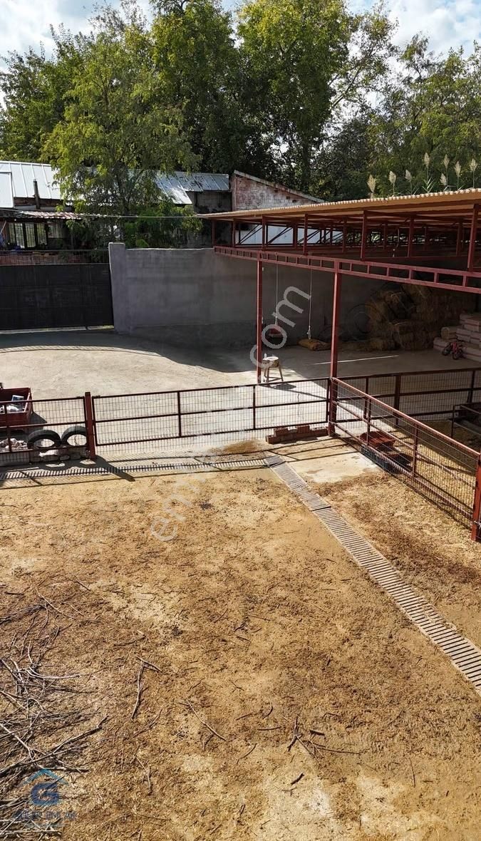 Salihli Sart Mahallesinde 900 M2 2 Tapulu Köy Evi Ve Hayvan Damı - Görsel 17