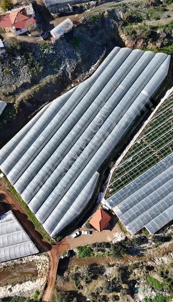 07 Truva Emlaktan Kumluca Sarıcasuda Satılık Sera - Görsel 25
