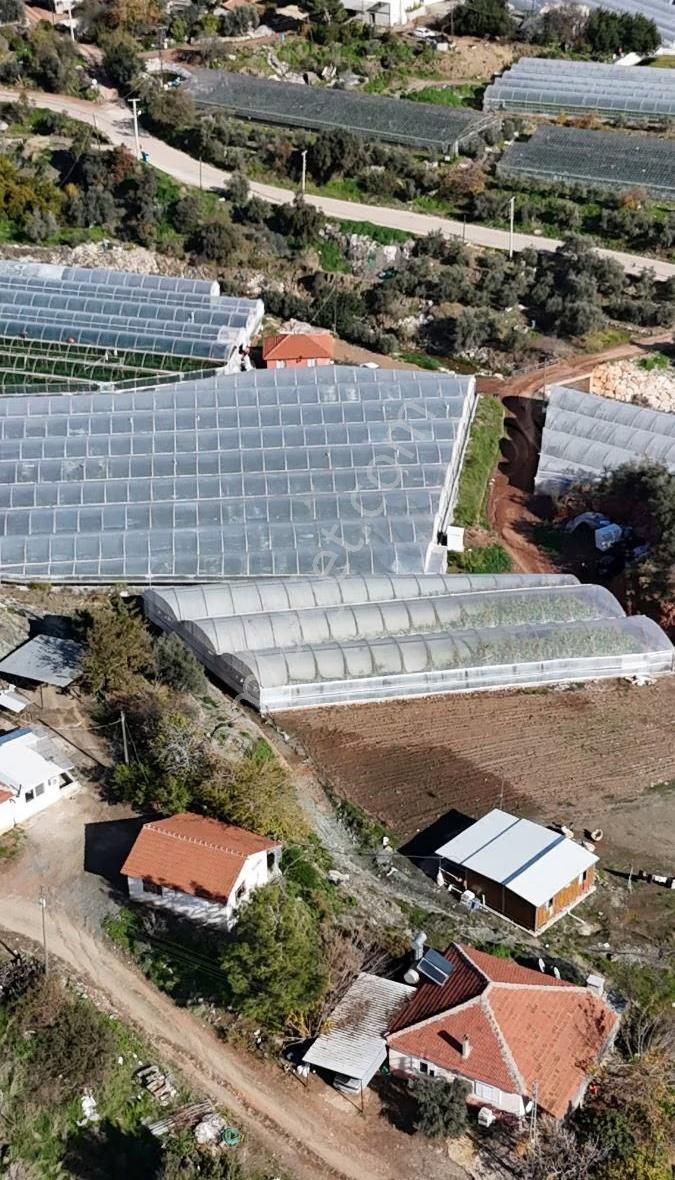 07 Truva Emlaktan Kumluca Sarıcasuda Satılık Sera - Görsel 12