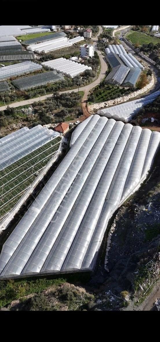 07 Truva Emlaktan Kumluca Sarıcasuda Satılık Sera - Görsel 30