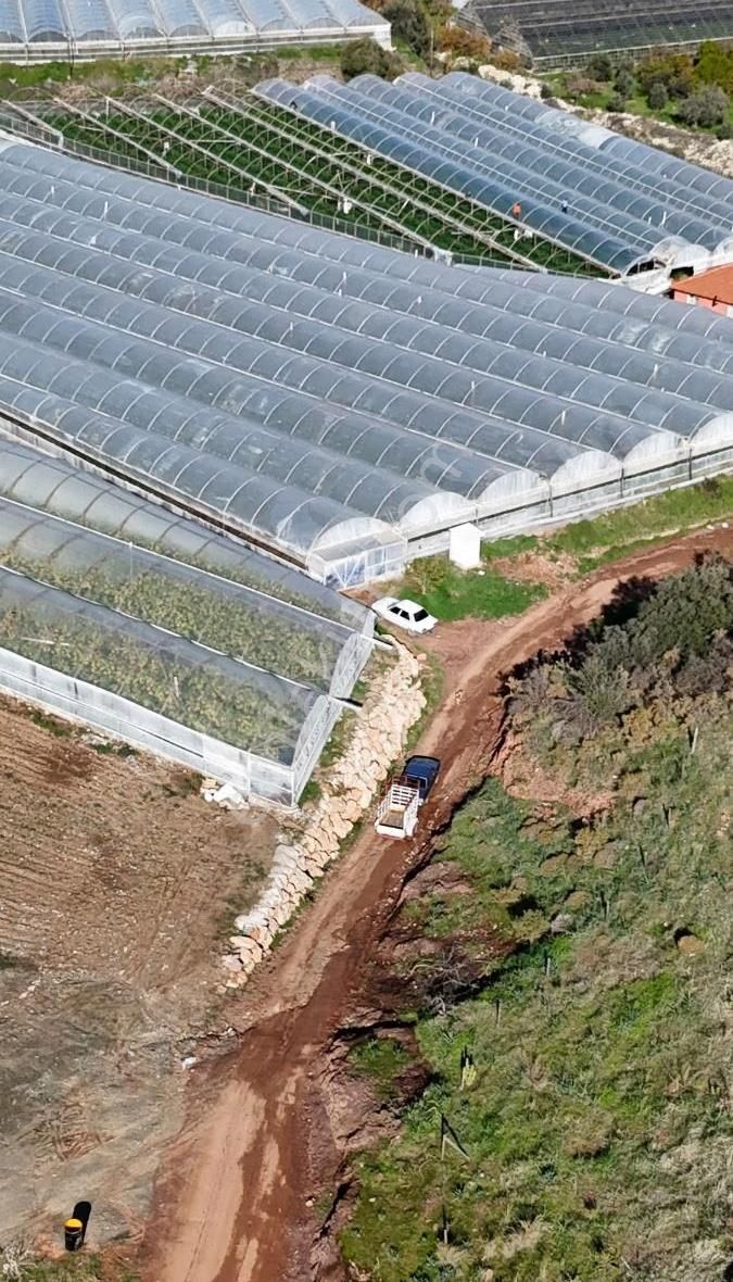 07 Truva Emlaktan Kumluca Sarıcasuda Satılık Sera - Görsel 31