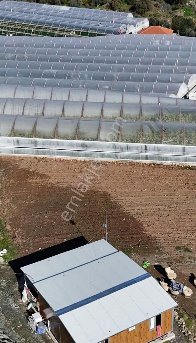 07 Truva Emlaktan Kumluca Sarıcasuda Satılık Sera - Görsel 2