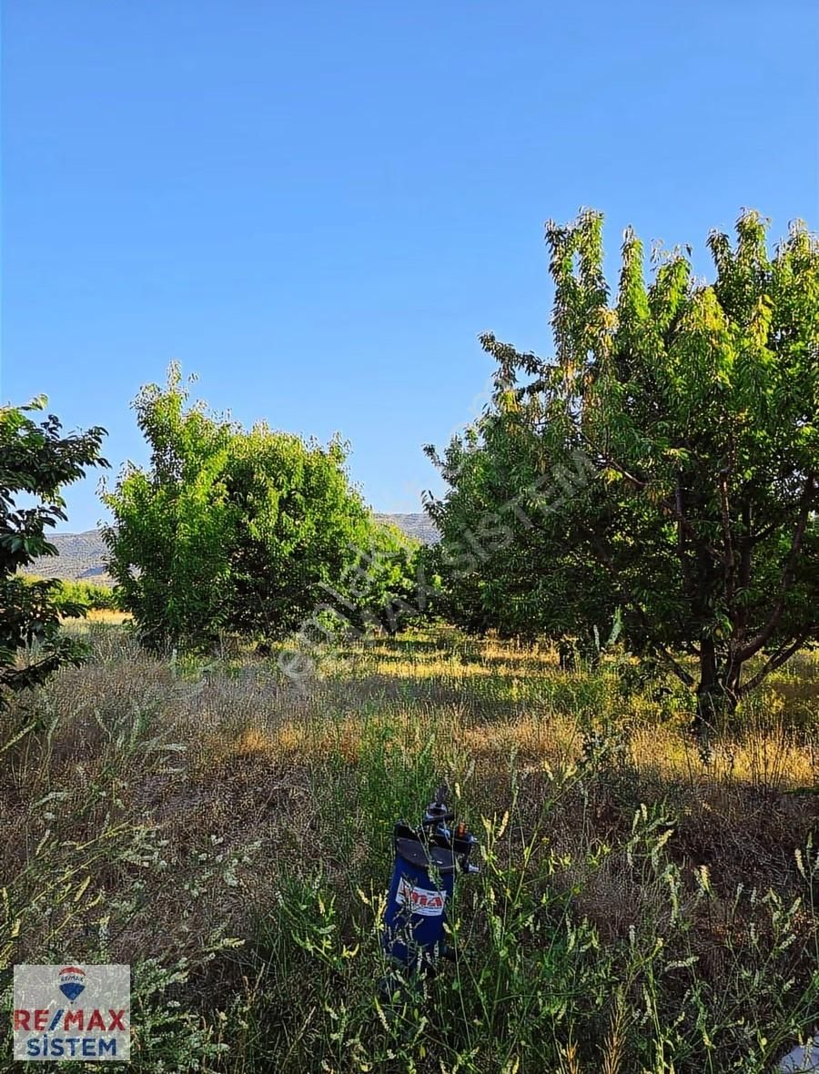 *anayola Yakın|20.250 M²|damla Sulamalı|400 Kiraz Ağaçlı Tarla* - Görsel 7