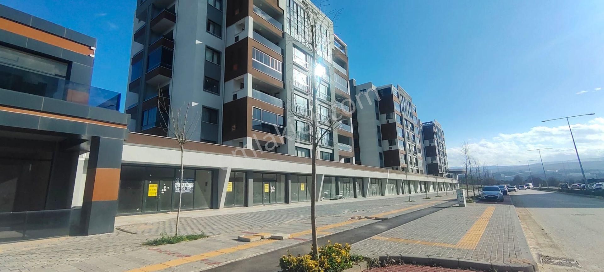 Nilüfer Balkan Mahallesi Bulvar Cepheli Avm Yanı Kiralık Dükkan - Görsel 24