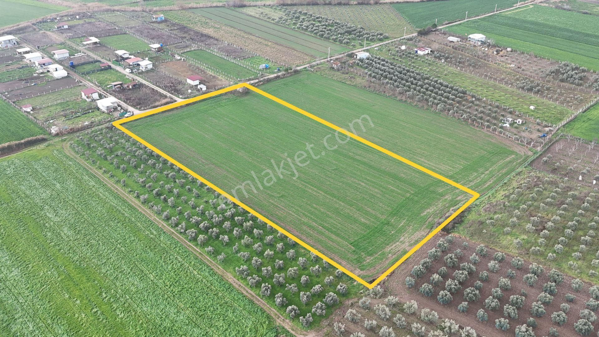 İzmir Menderes Oğlananası-türkmen Arasında İnşaat Yap İmar Yakını Tarla - Görsel 5