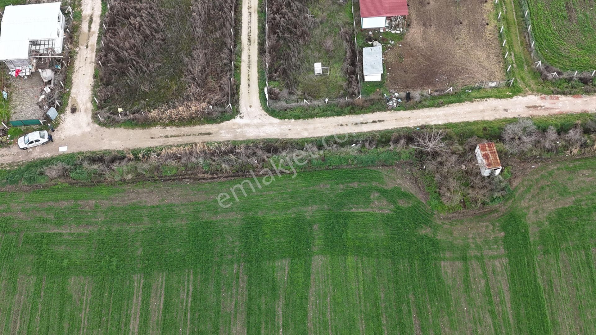 İzmir Menderes Oğlananası-türkmen Arasında İnşaat Yap İmar Yakını Tarla - Görsel 25