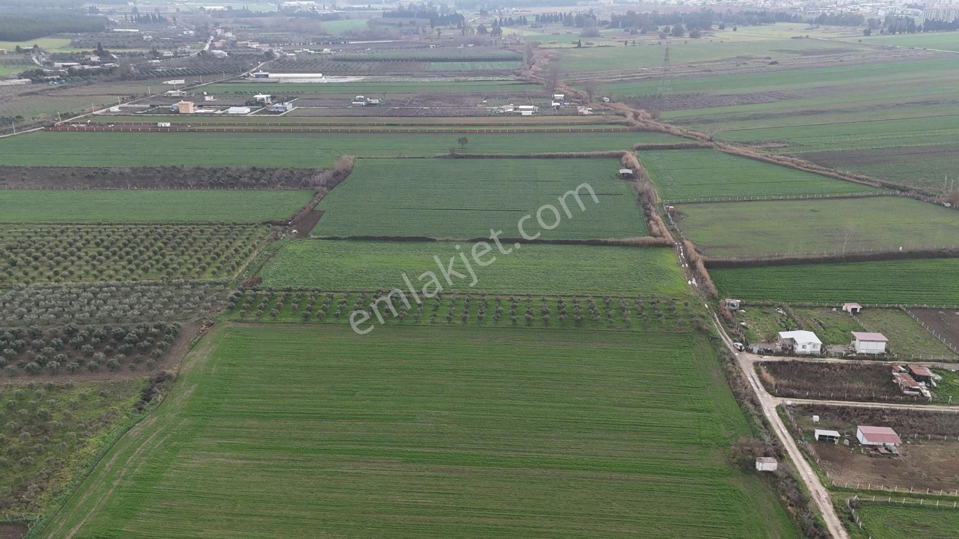 İzmir Menderes Oğlananası-türkmen Arasında İnşaat Yap İmar Yakını Tarla - Görsel 10