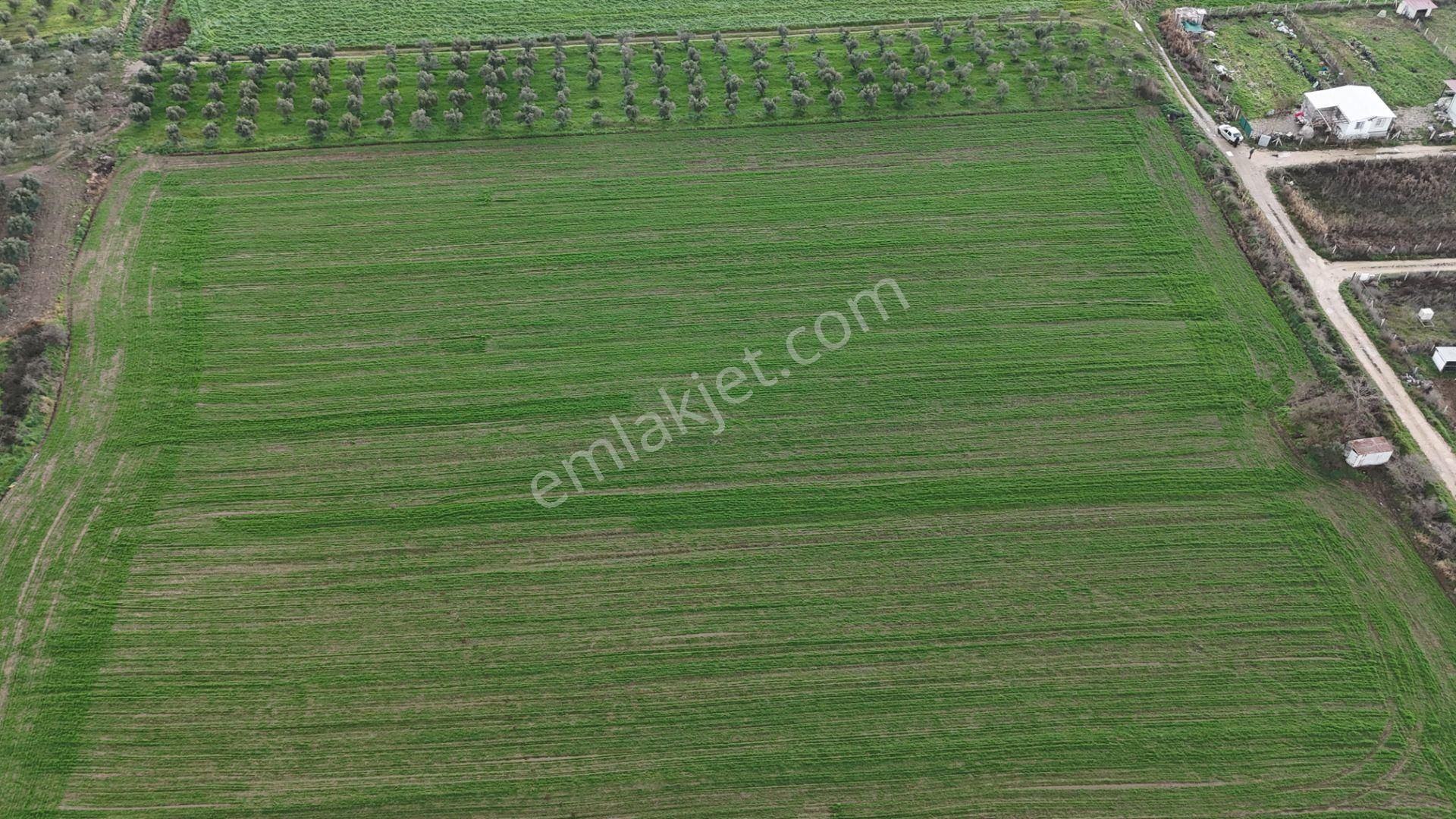 İzmir Menderes Oğlananası-türkmen Arasında İnşaat Yap İmar Yakını Tarla - Görsel 29