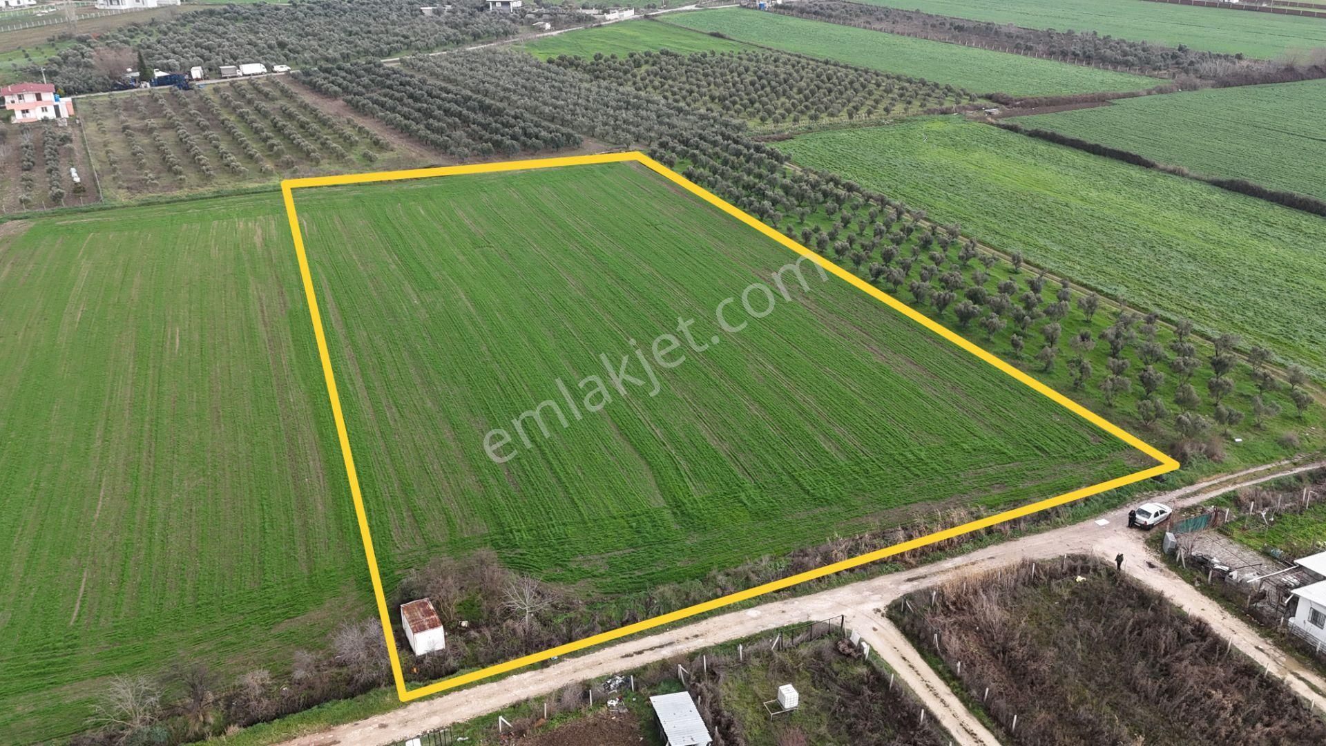 İzmir Menderes Oğlananası-türkmen Arasında İnşaat Yap İmar Yakını Tarla - Görsel 3