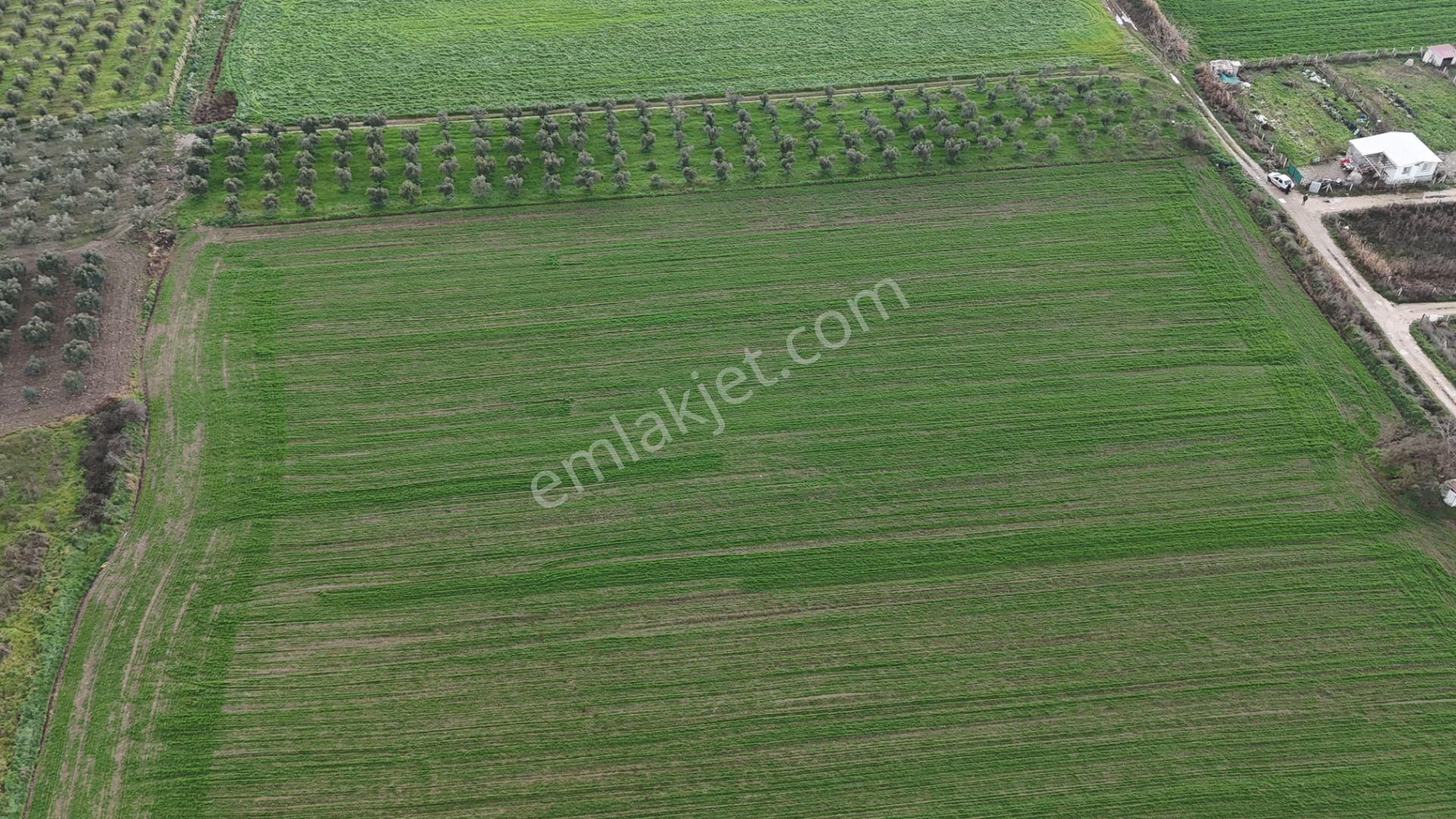 İzmir Menderes Oğlananası-türkmen Arasında İnşaat Yap İmar Yakını Tarla - Görsel 22