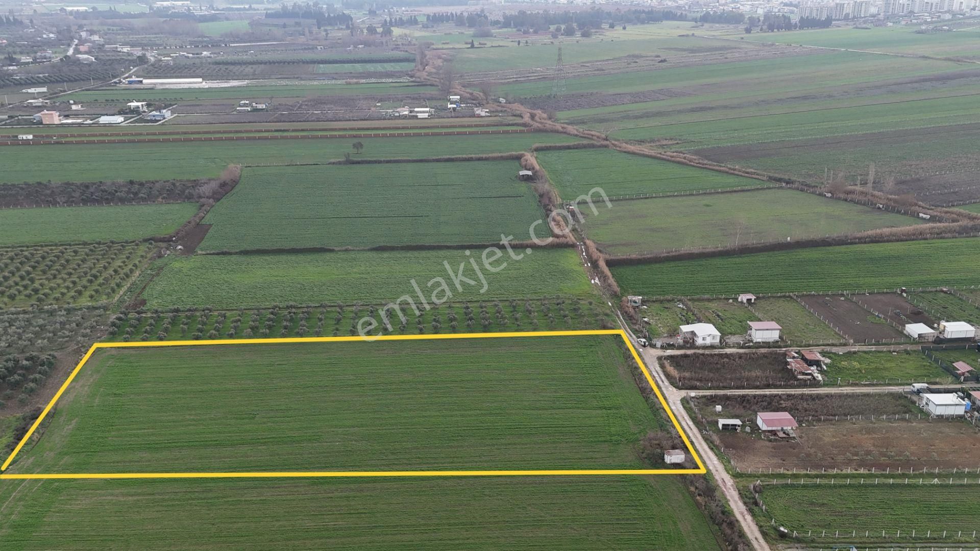 İzmir Menderes Oğlananası-türkmen Arasında İnşaat Yap İmar Yakını Tarla - Görsel 30