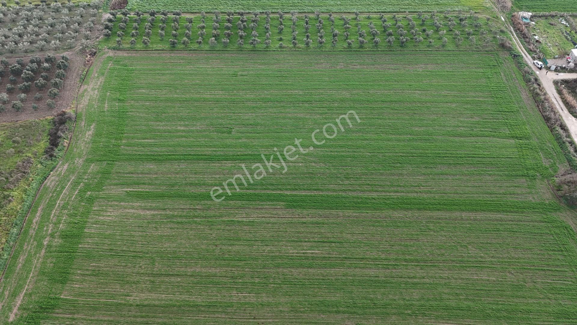 İzmir Menderes Oğlananası-türkmen Arasında İnşaat Yap İmar Yakını Tarla - Görsel 15