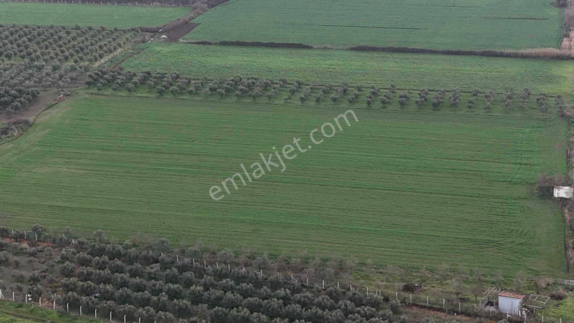 İzmir Menderes Oğlananası-türkmen Arasında İnşaat Yap İmar Yakını Tarla - Görsel 23