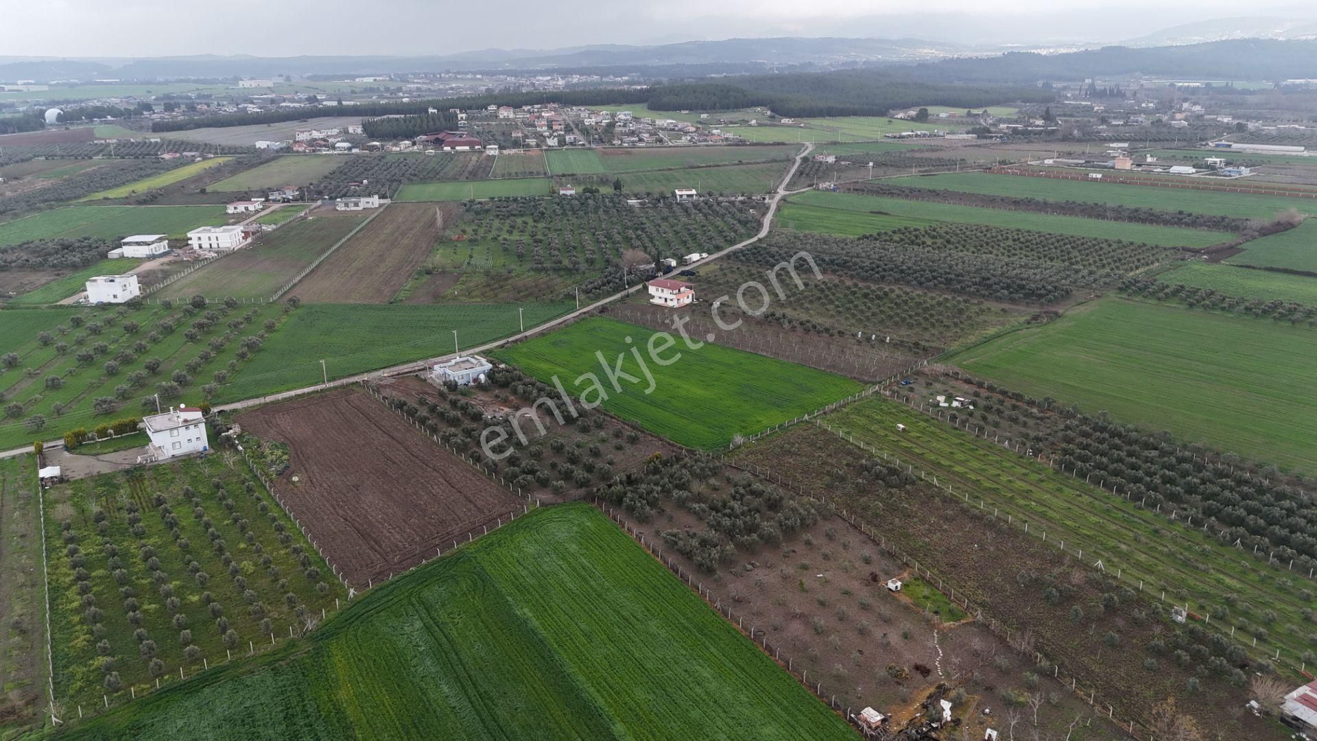 İzmir Menderes Oğlananası-türkmen Arasında İnşaat Yap İmar Yakını Tarla - Görsel 27