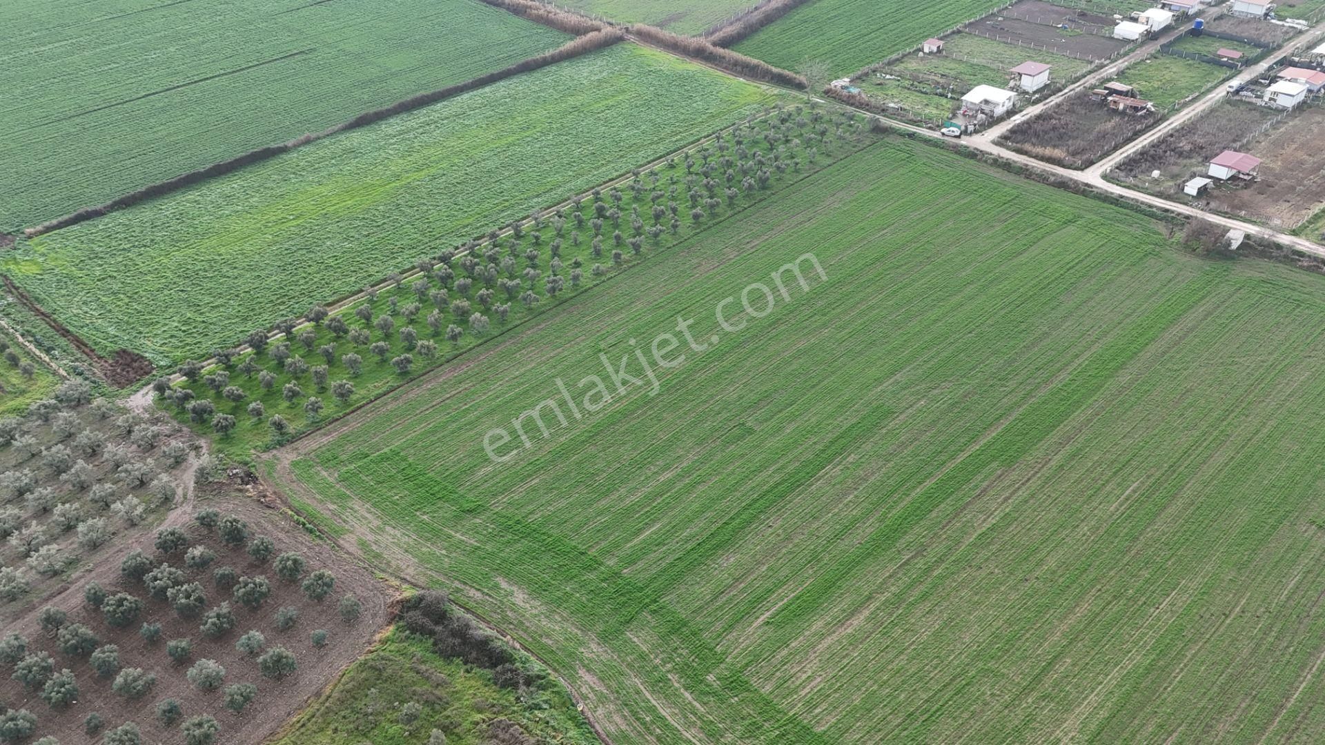 İzmir Menderes Oğlananası-türkmen Arasında İnşaat Yap İmar Yakını Tarla - Görsel 16