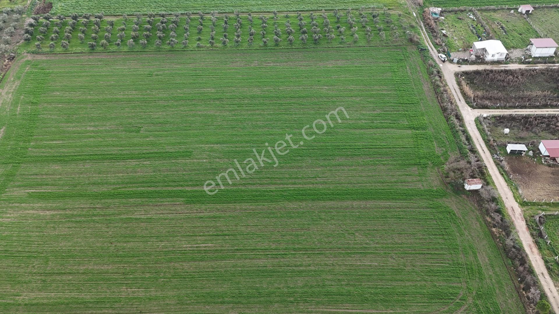 İzmir Menderes Oğlananası-türkmen Arasında İnşaat Yap İmar Yakını Tarla - Görsel 28