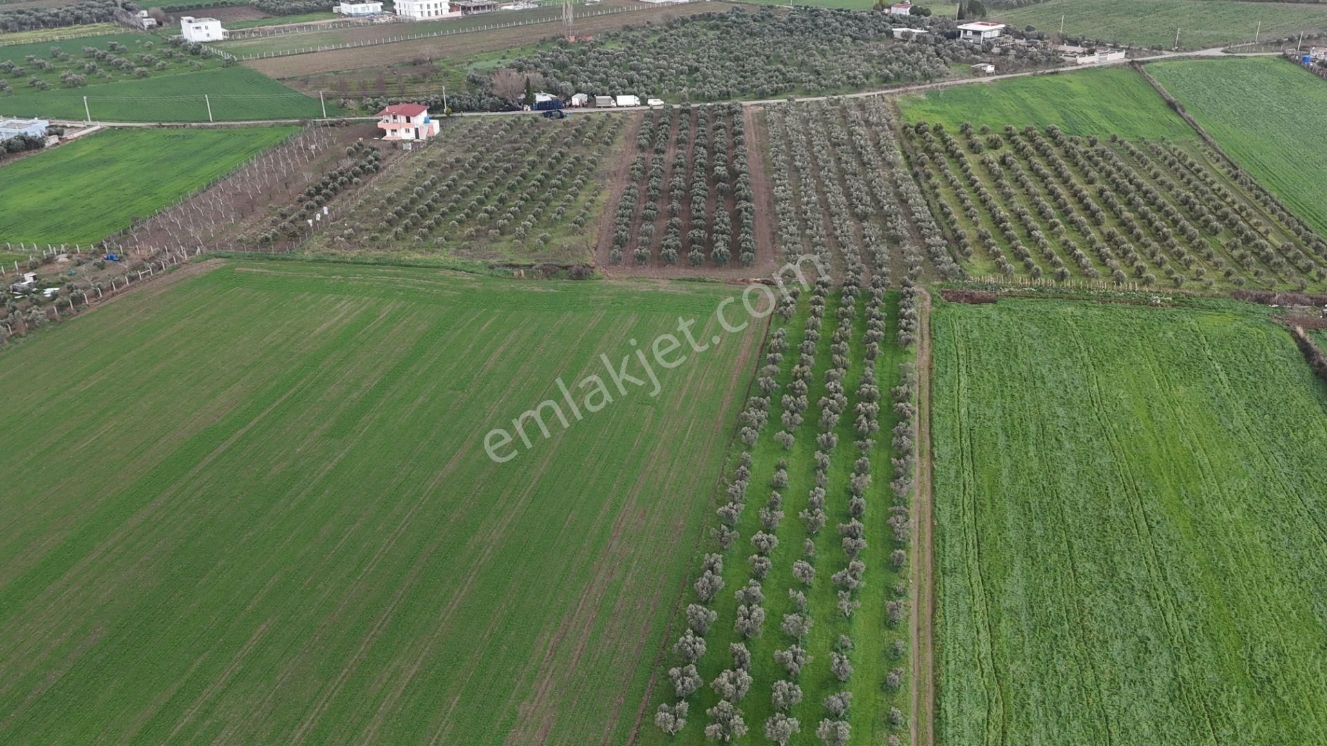 İzmir Menderes Oğlananası-türkmen Arasında İnşaat Yap İmar Yakını Tarla - Görsel 33